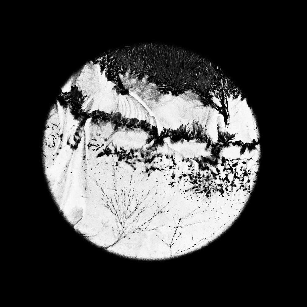 Релиз Pluie D'arbres