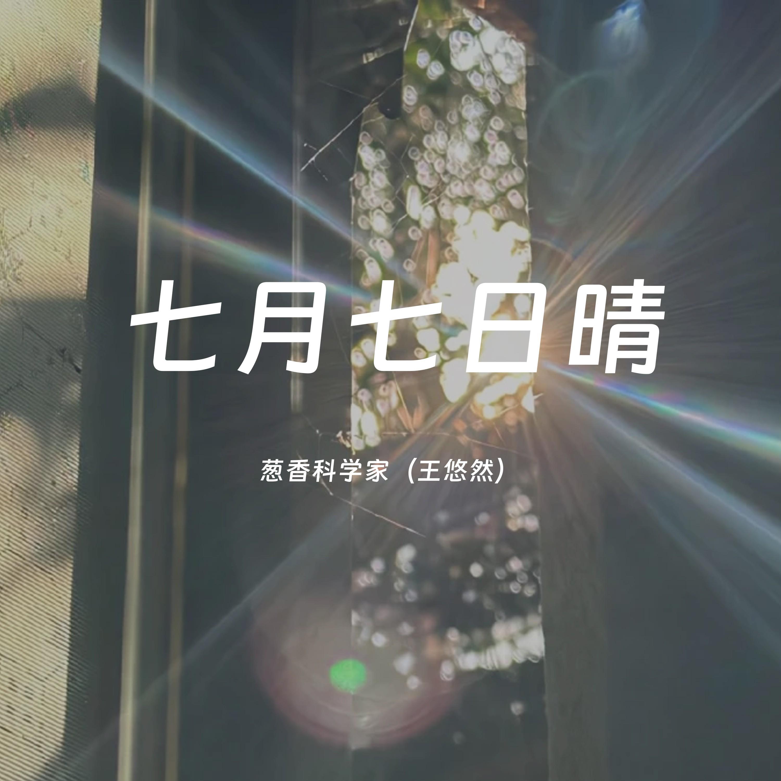 Релиз 七月七日晴