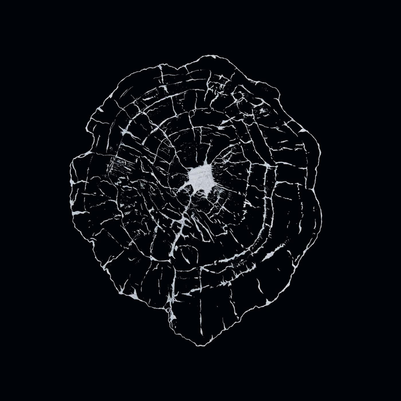 Релиз Still Unavailing