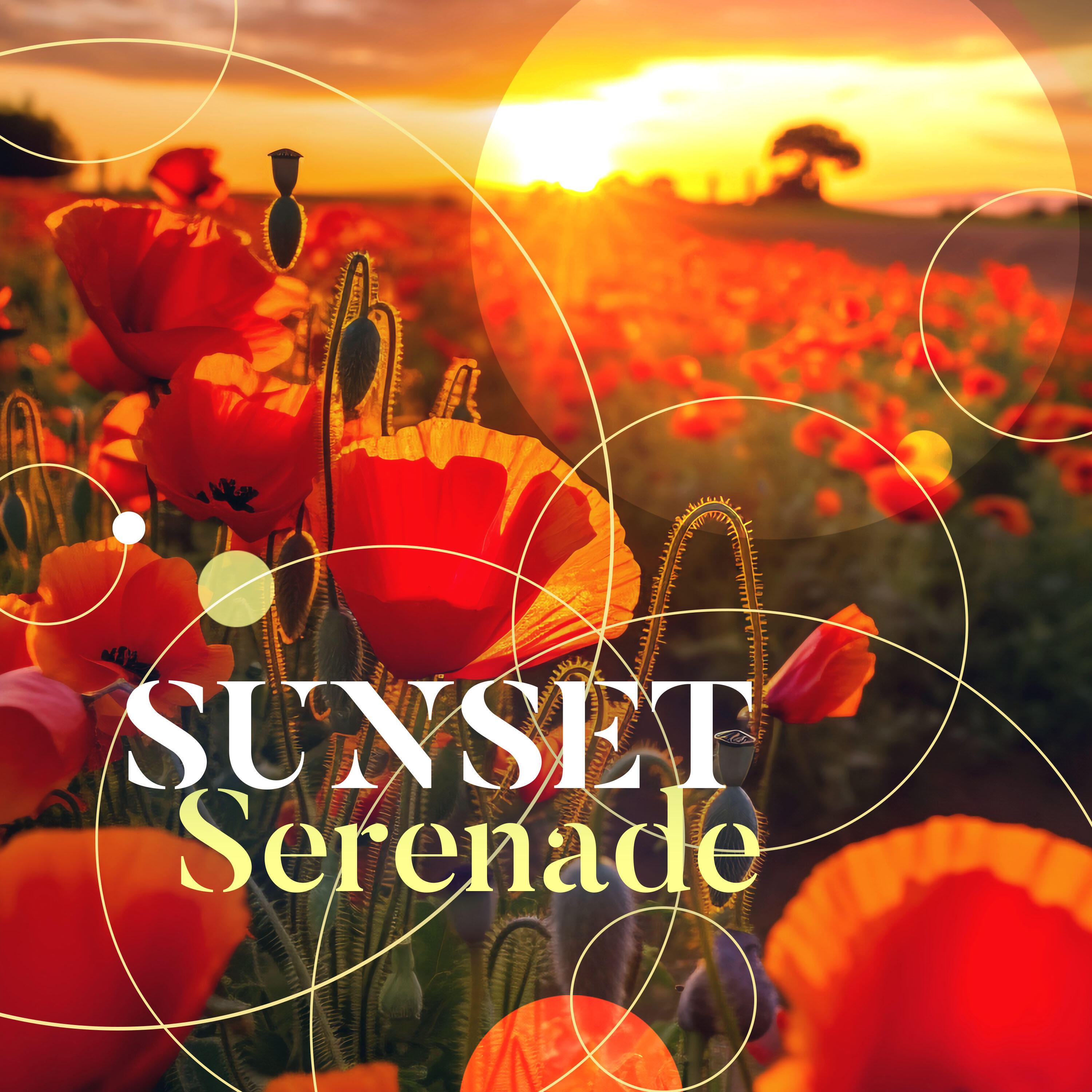 Релиз Sunset Serenade