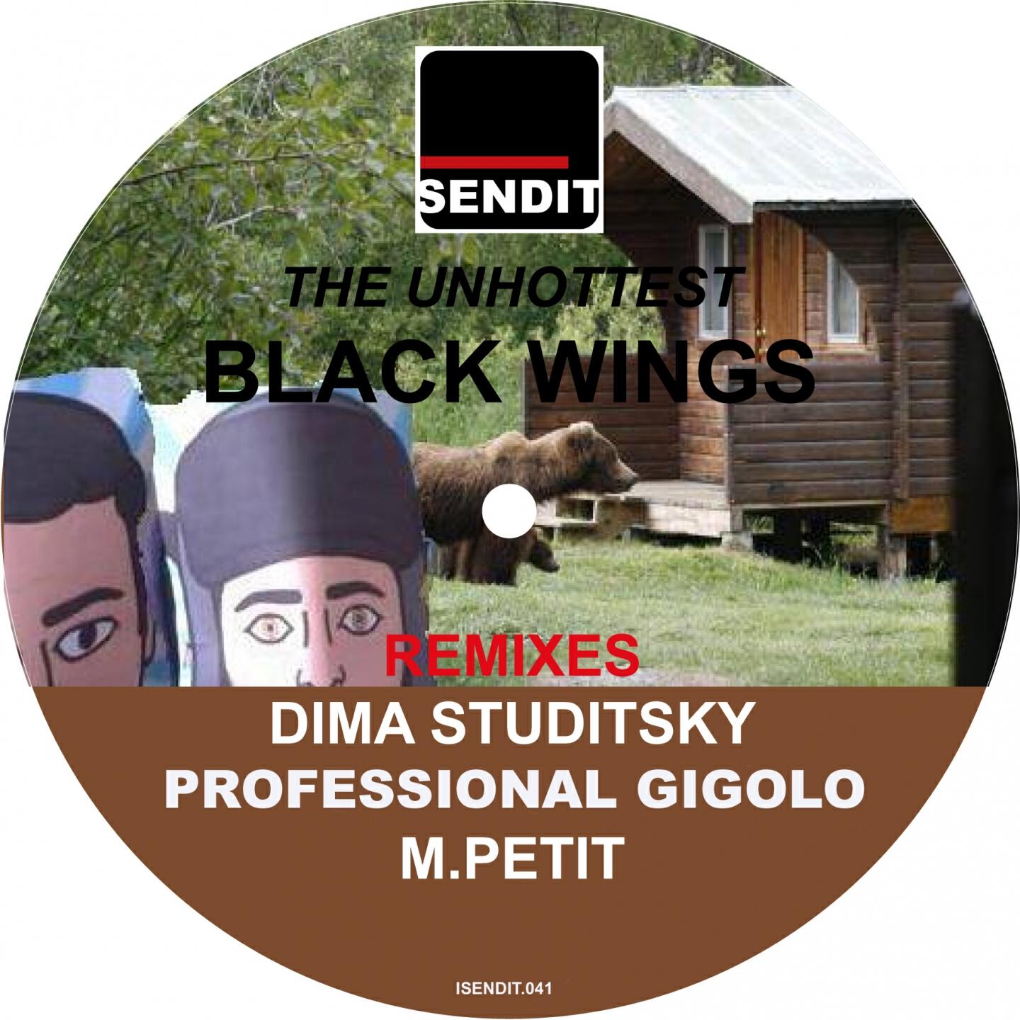 Релиз Black Wings Remixes