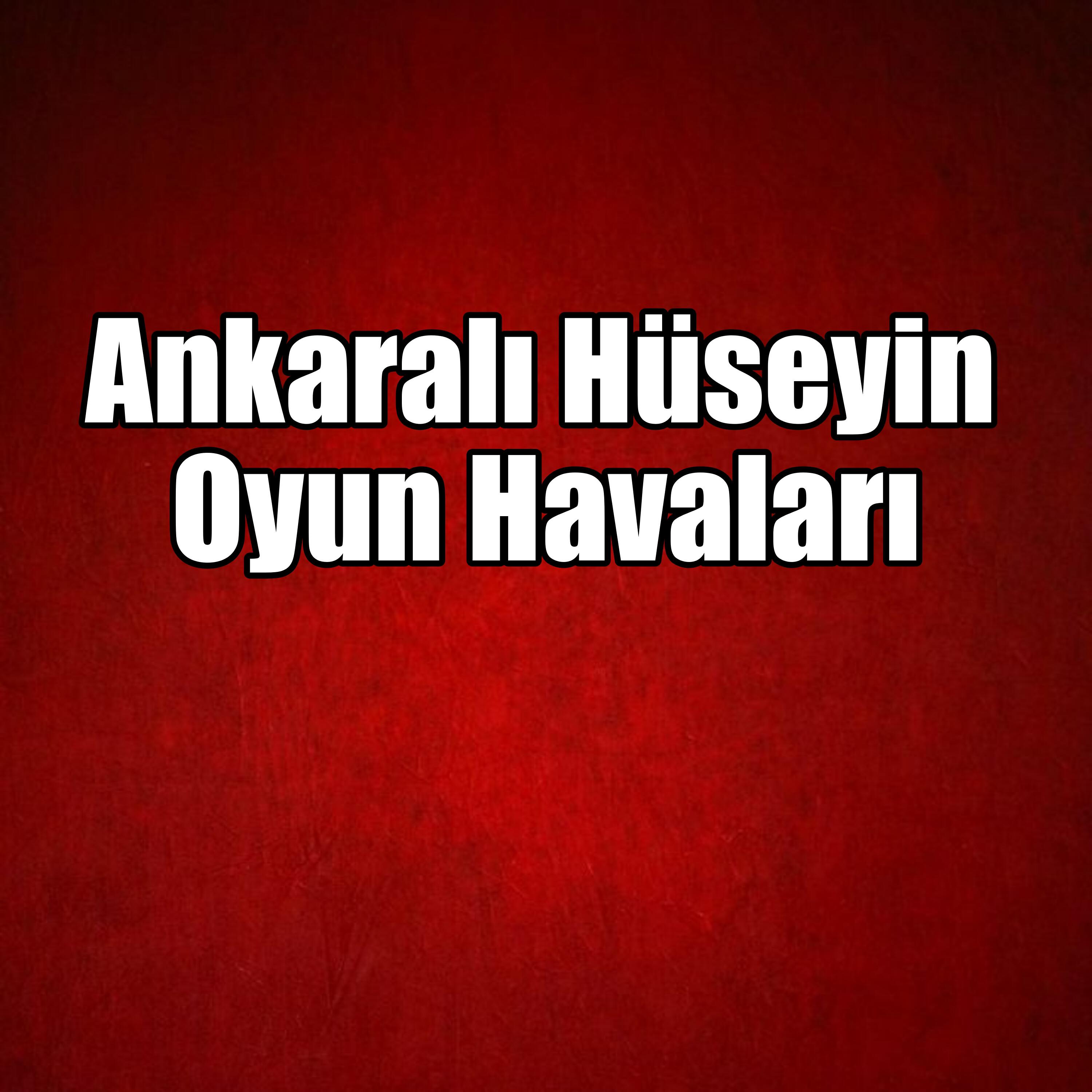 Постер альбома Oyun Havaları