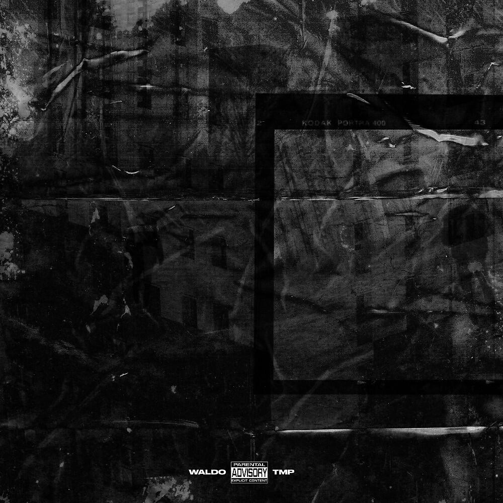 Релиз TMP