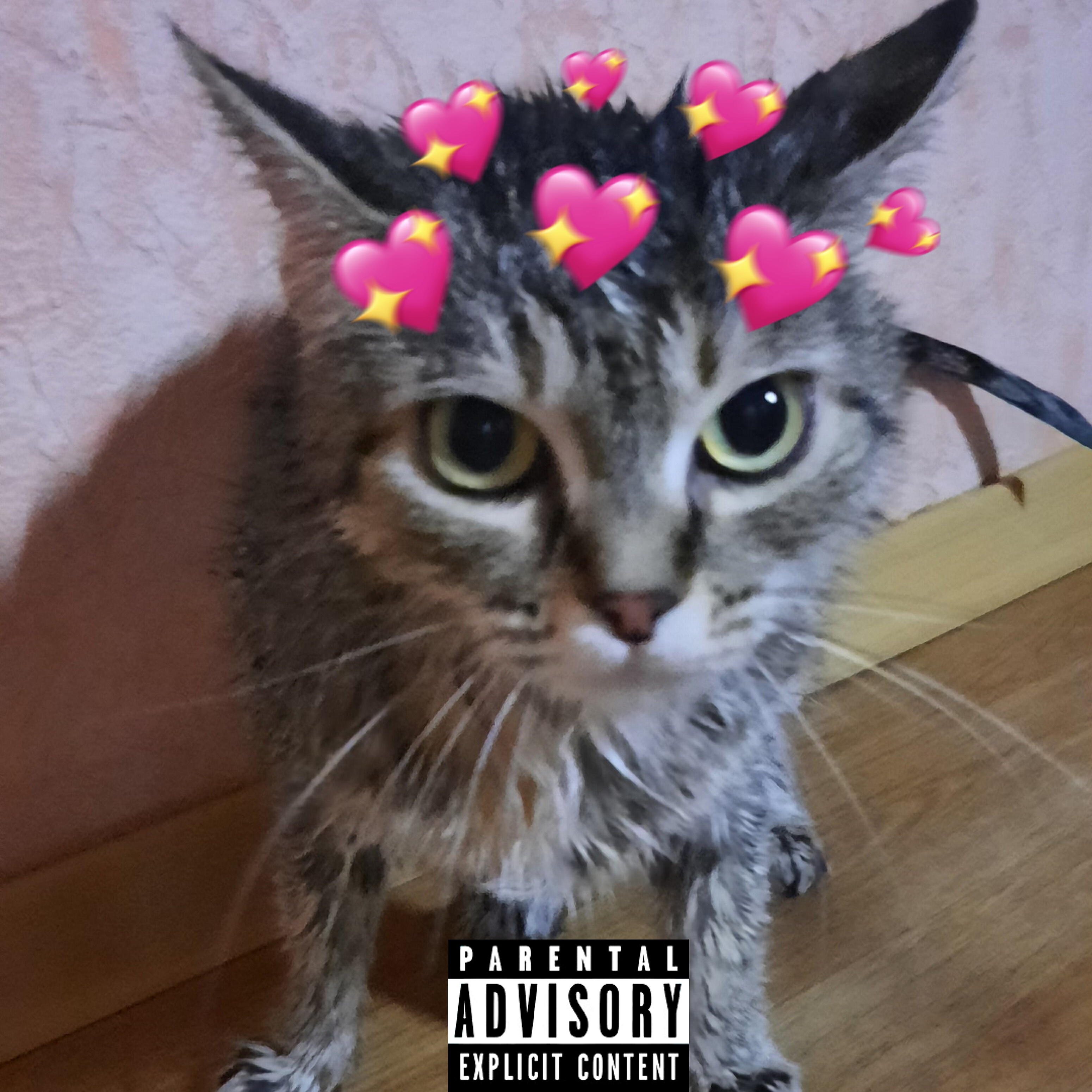 Релиз Nazarw.