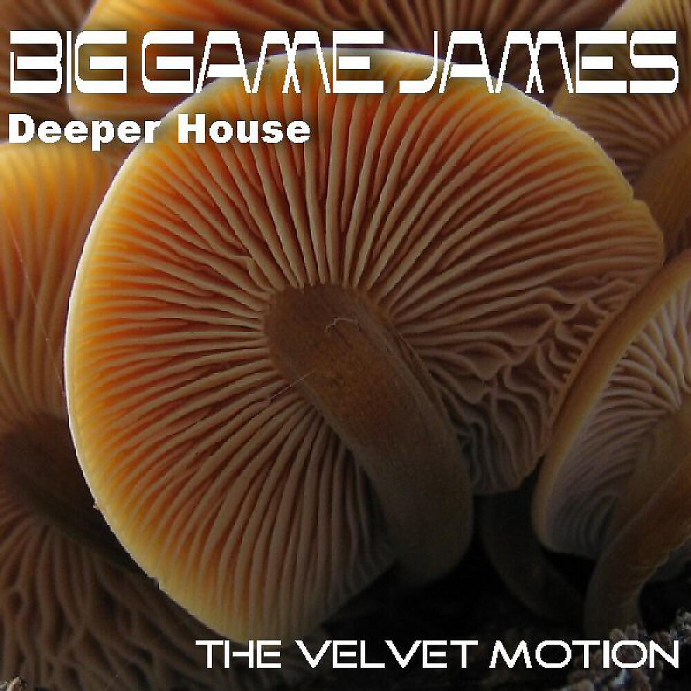 Релиз The Velvet Motion