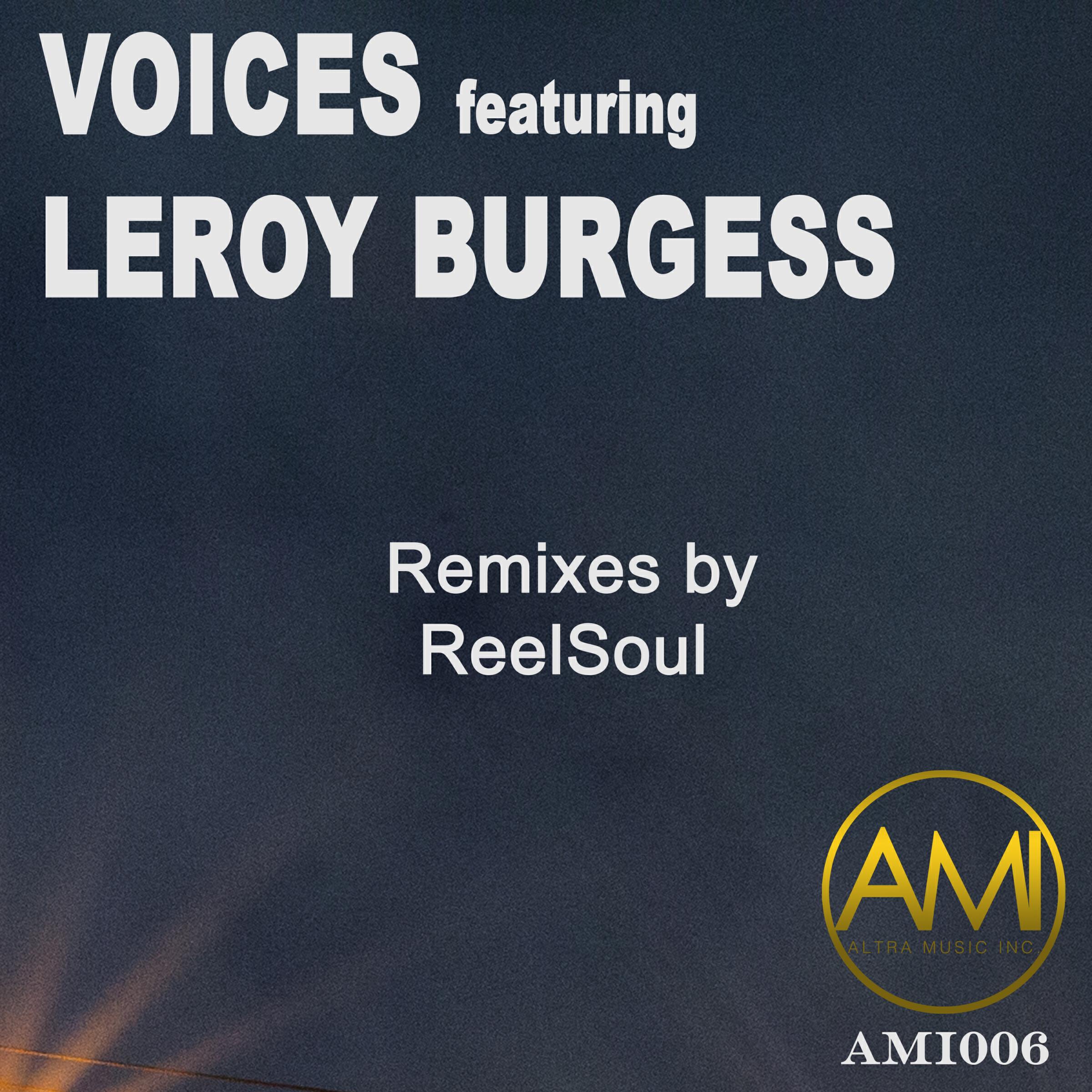 Релиз Voices: ReelSoul Remixes