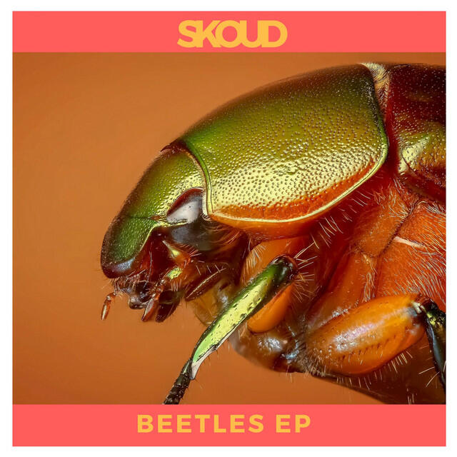 Релиз Beetles EP