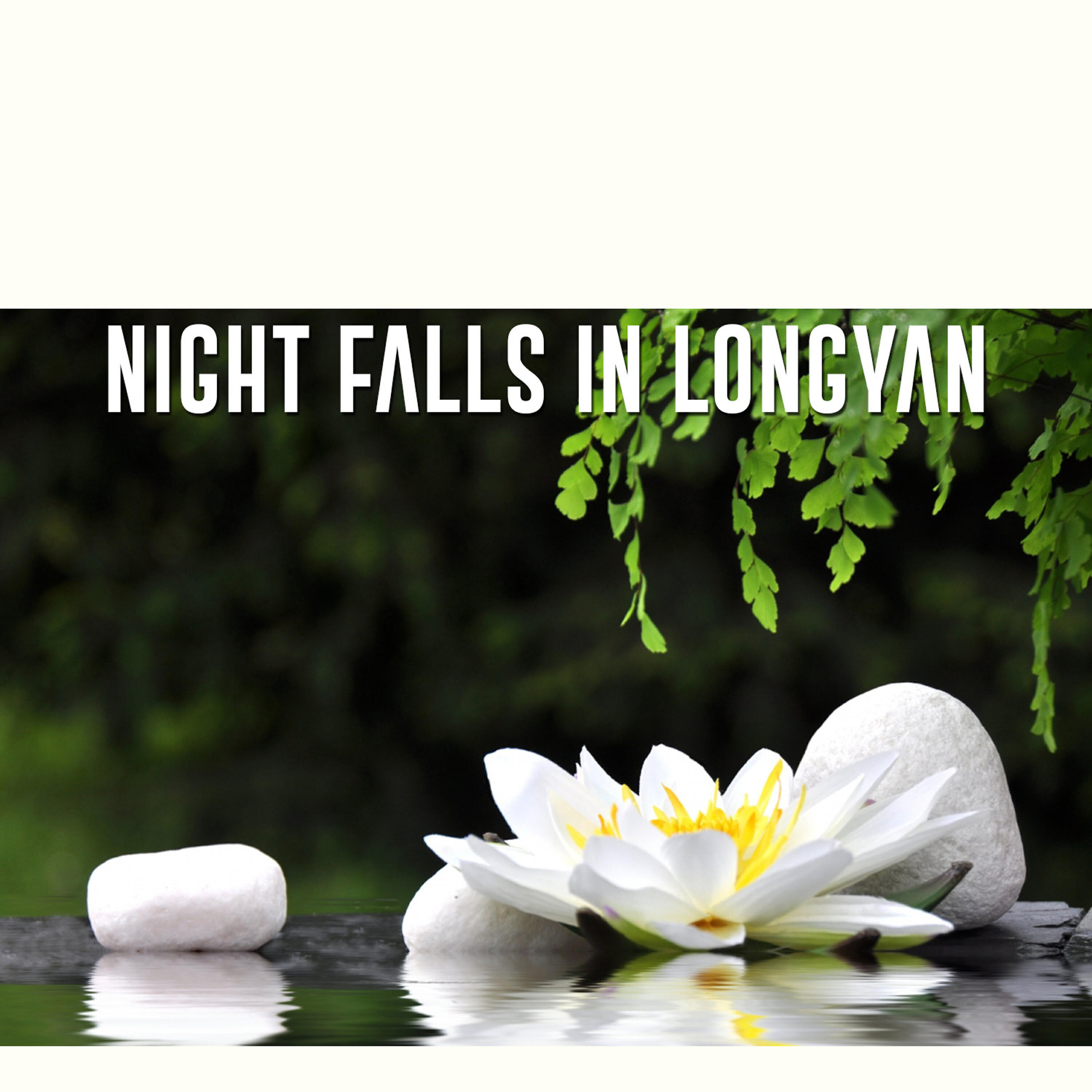 Релиз Night Falls in Longyan