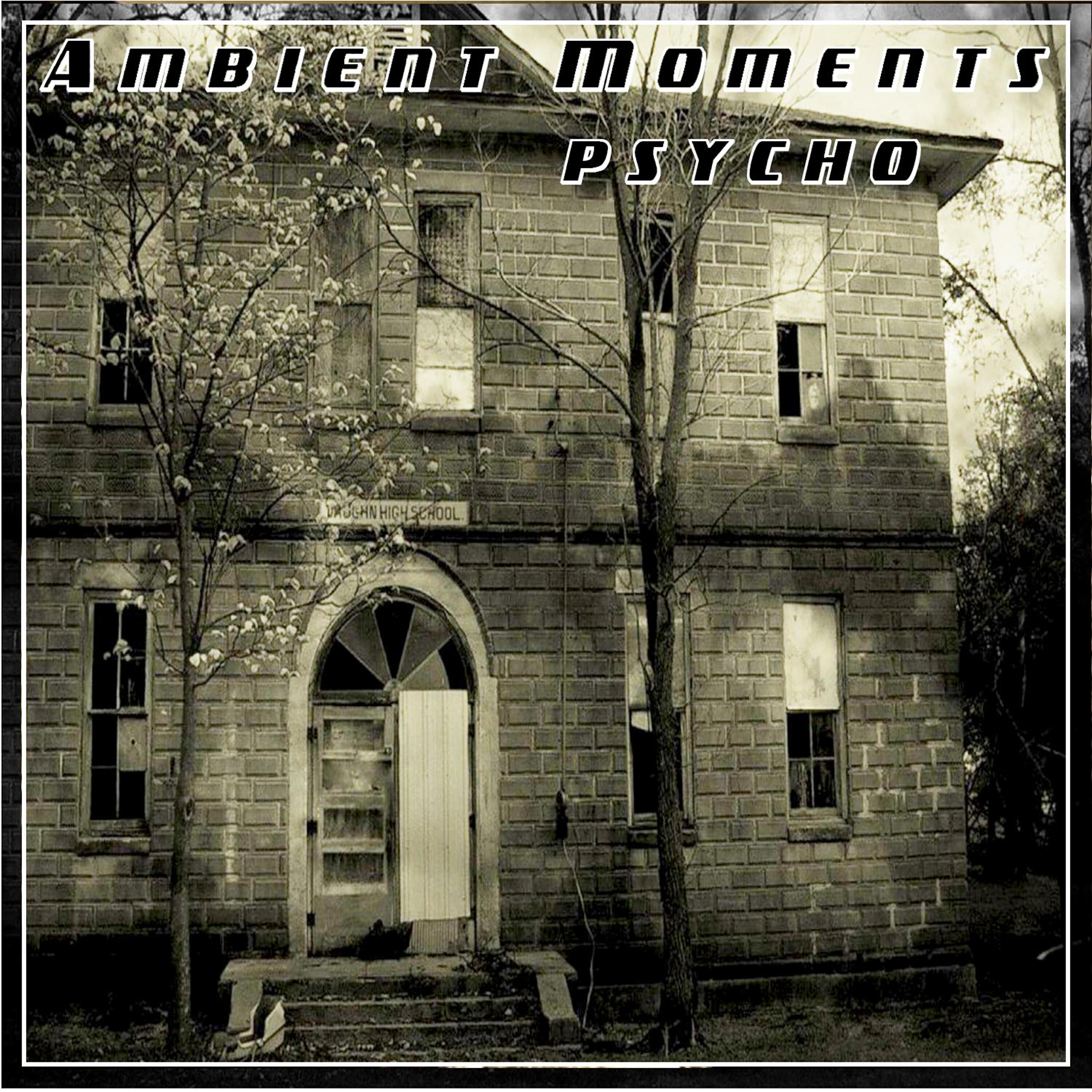 Релиз Ambient Moments: Psycho