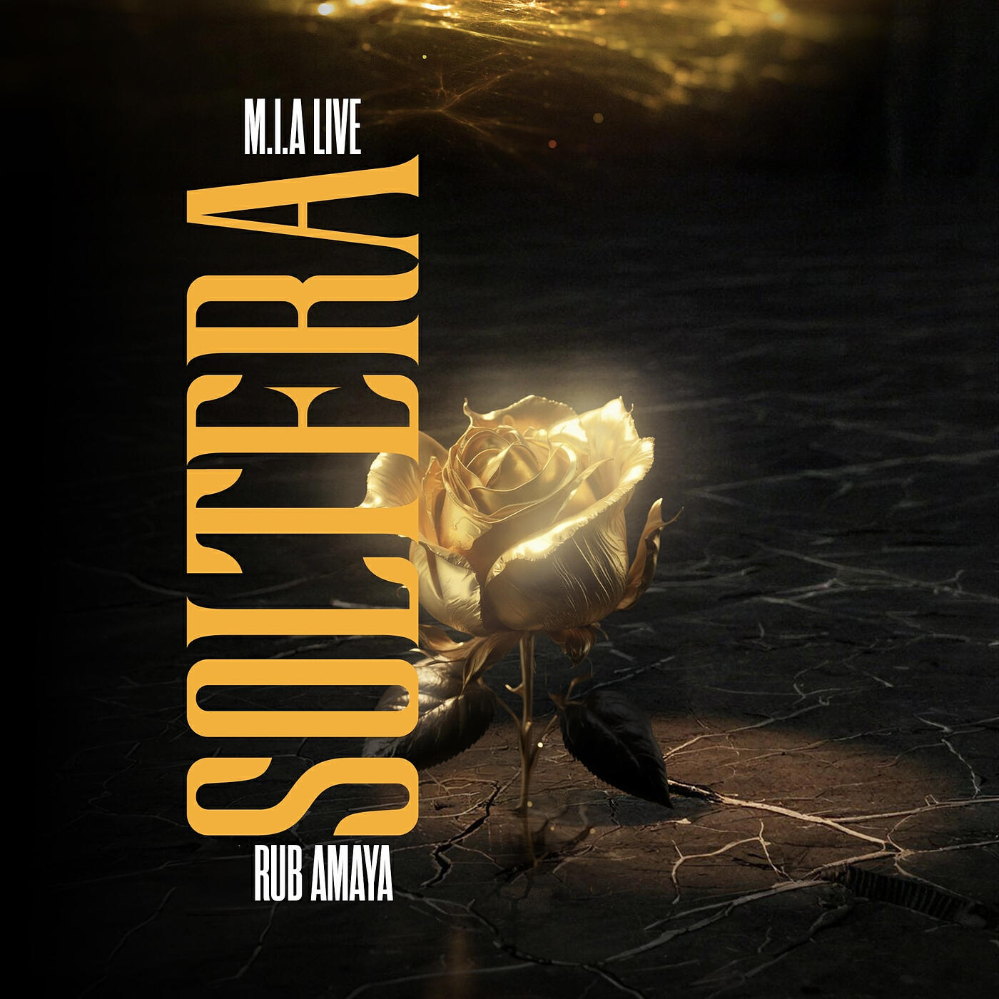 Релиз Soltera