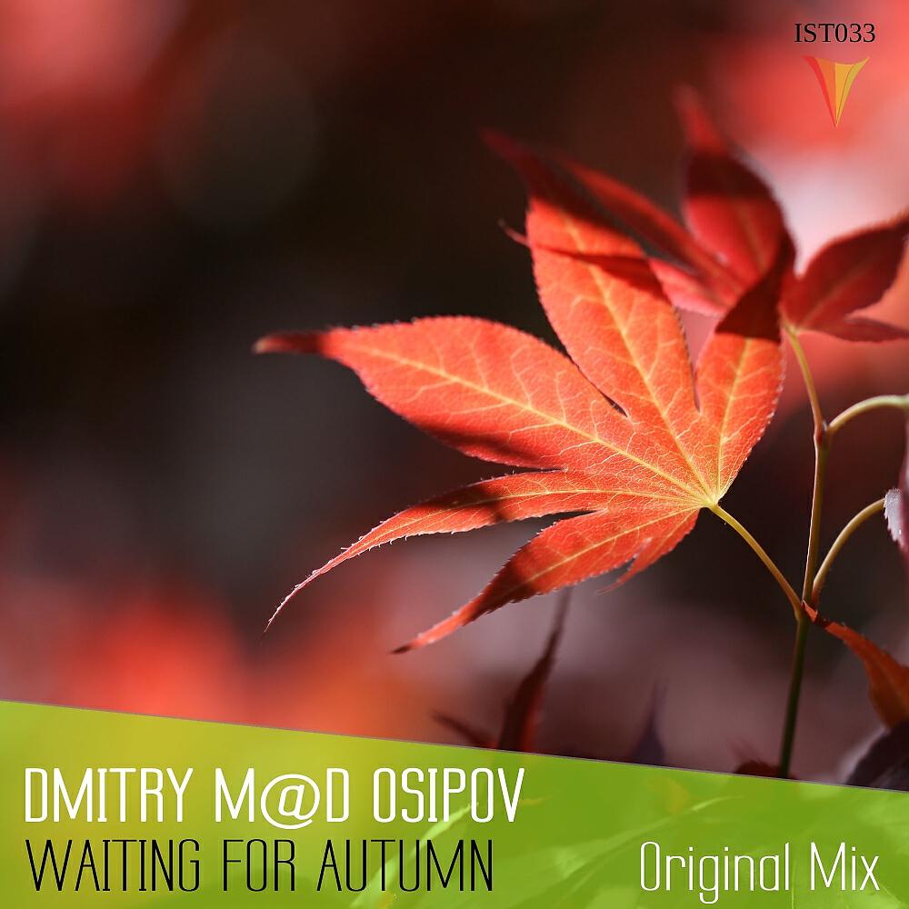 Релиз Waiting For Autumn