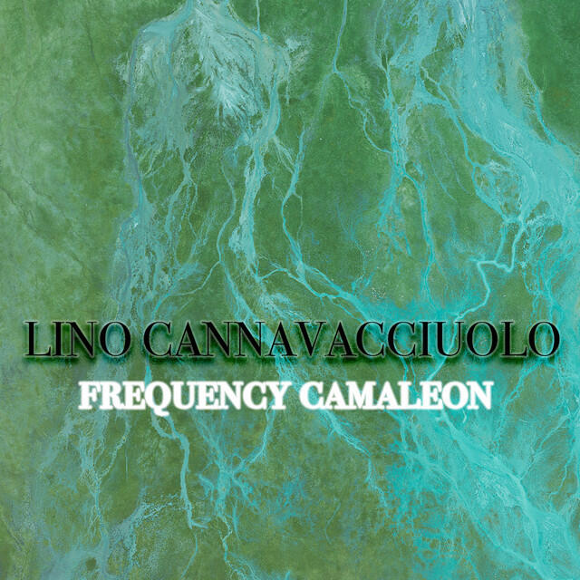 Релиз Frequency Camaleon