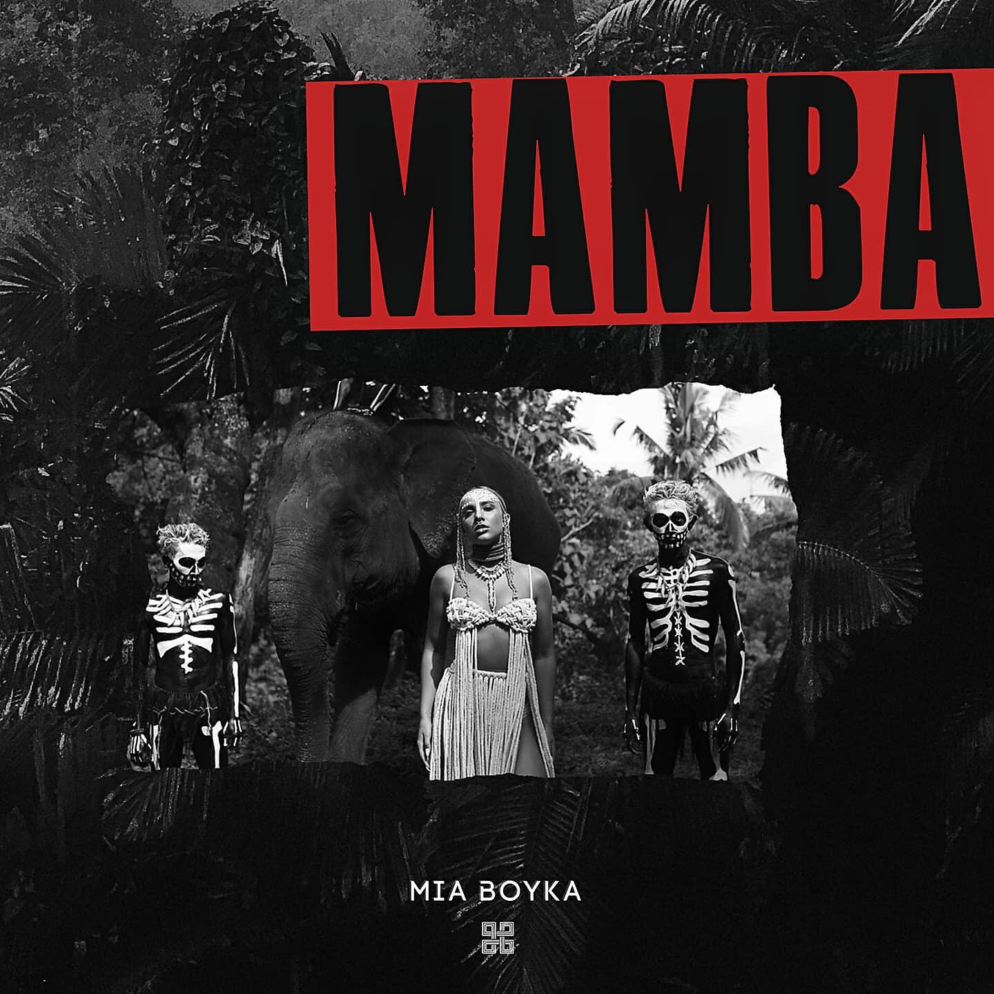 Релиз Mamba