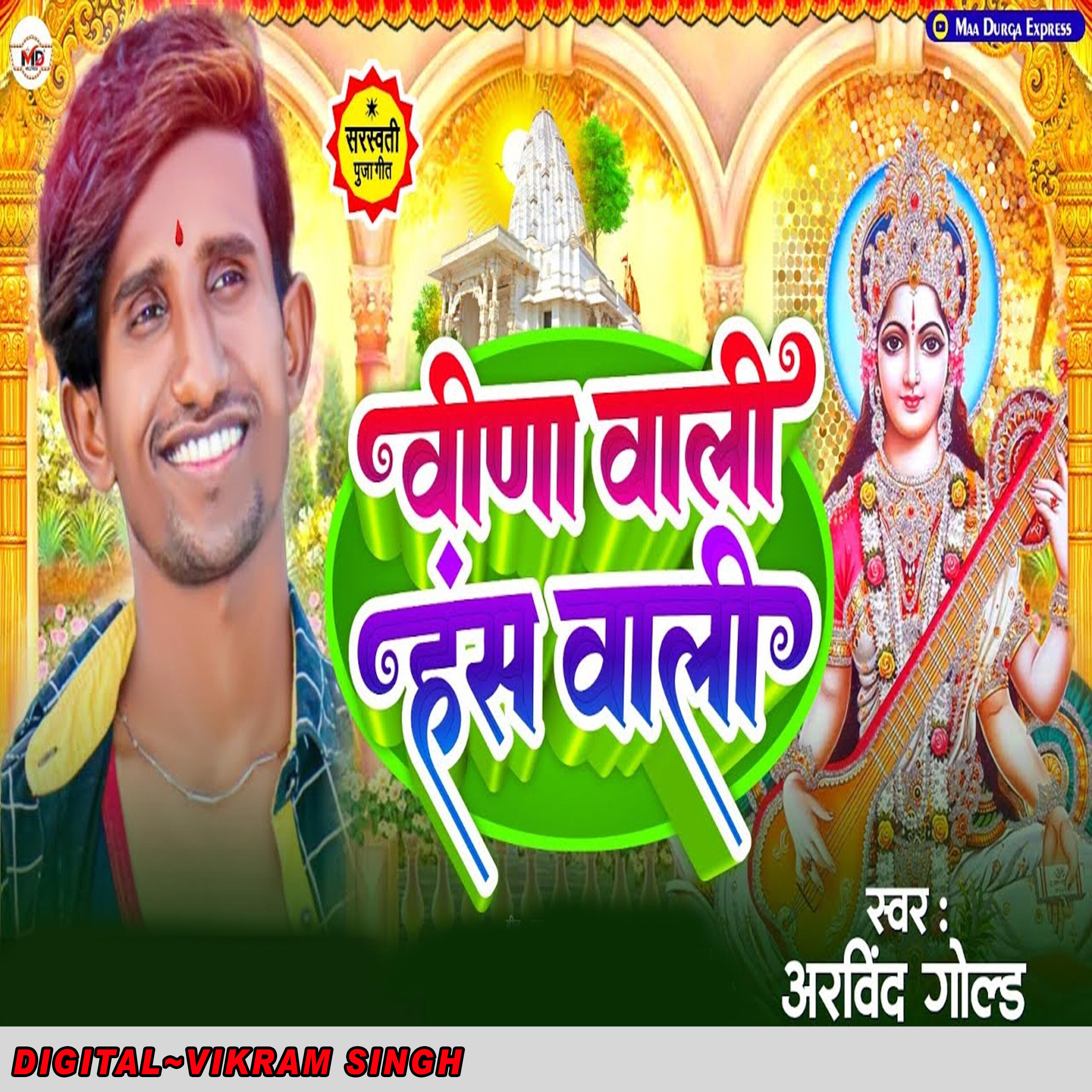 Релиз Bina Wali Hans Wali