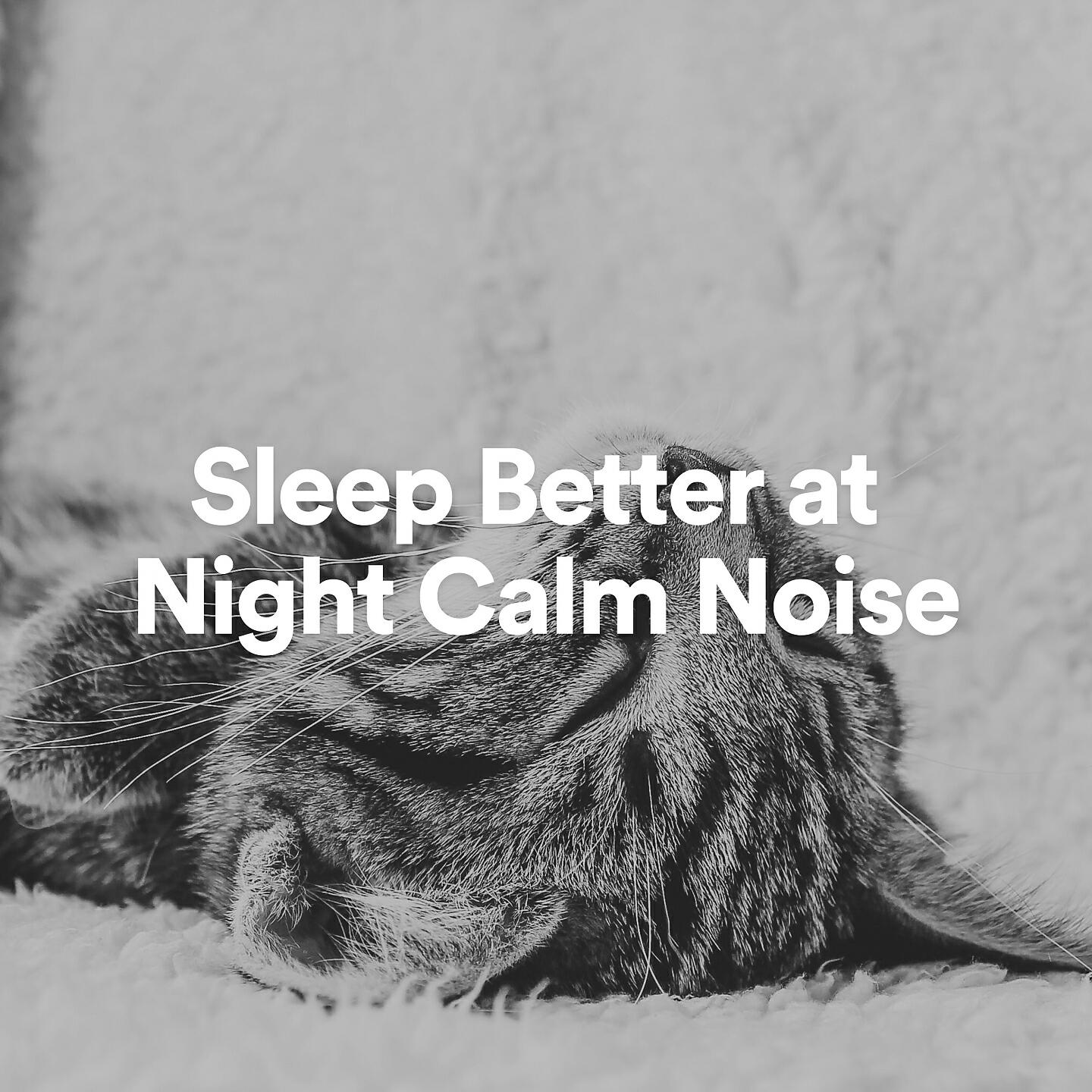 Релиз Sleep Better at Night Calm Noise