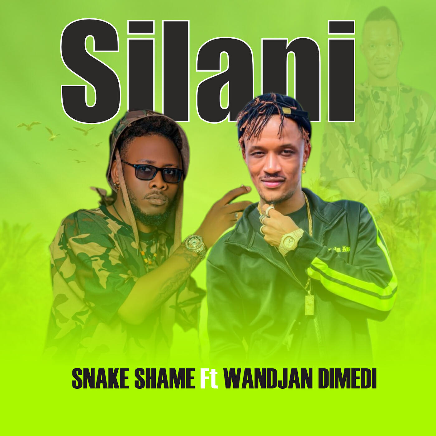 Постер альбома SILANI
