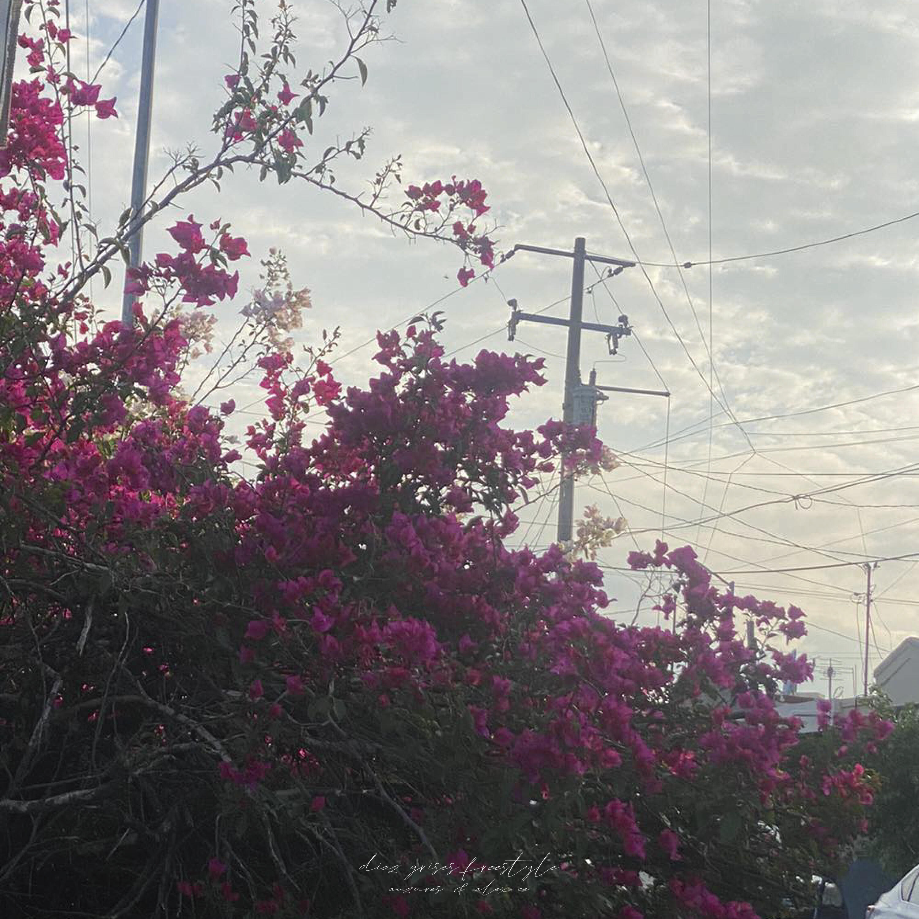 Трек Diaz Grises Freestyle