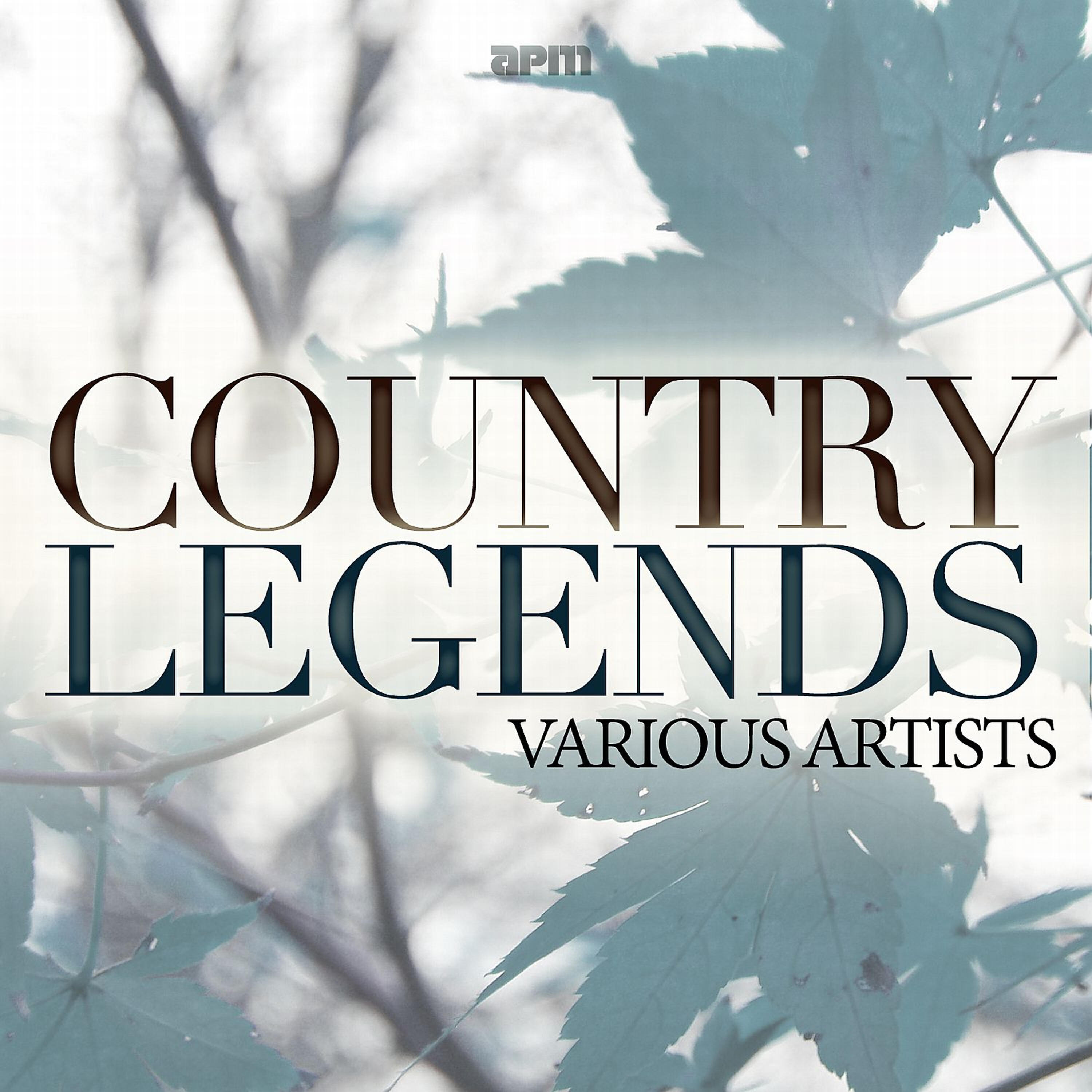 Релиз Country Legends