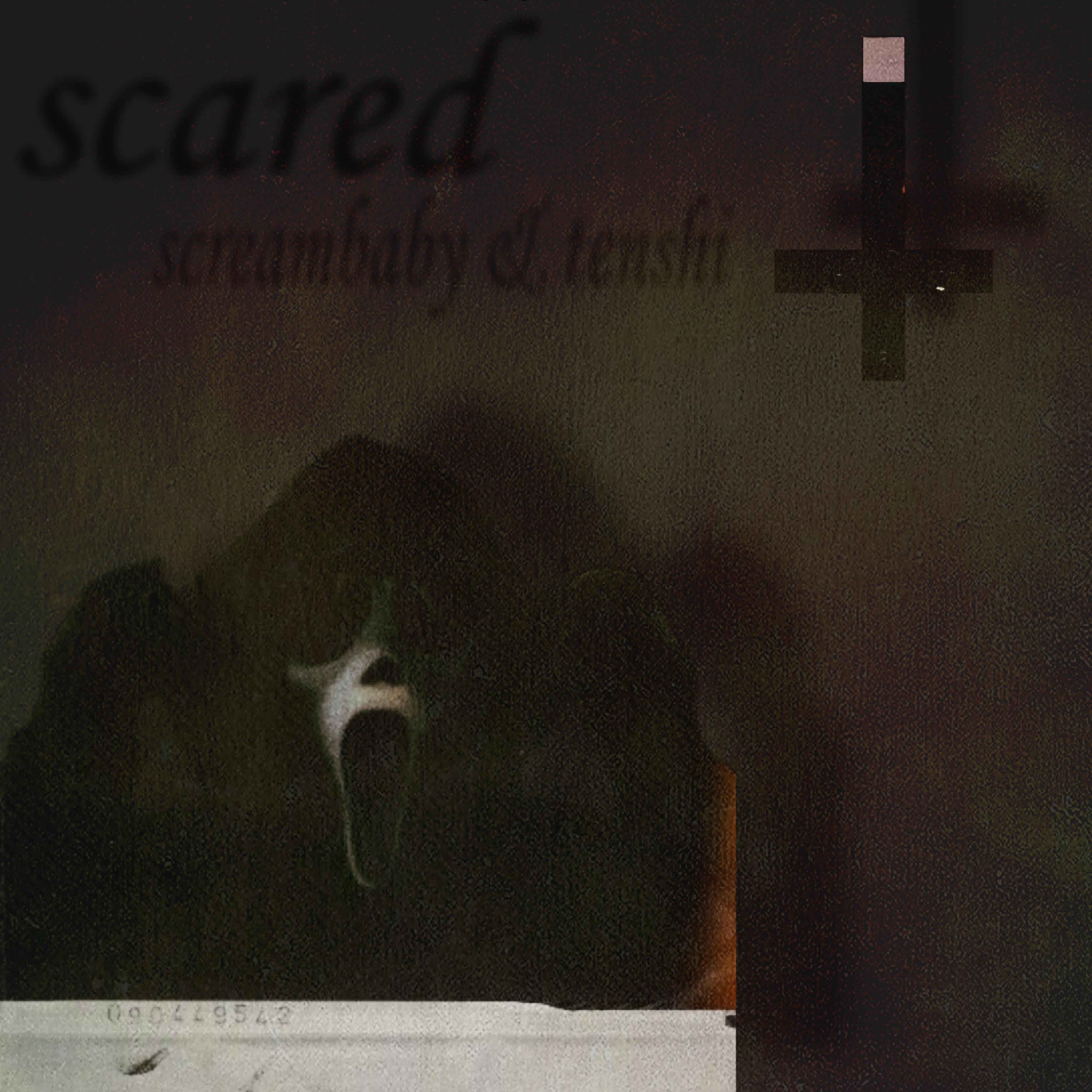 Постер альбома scared
