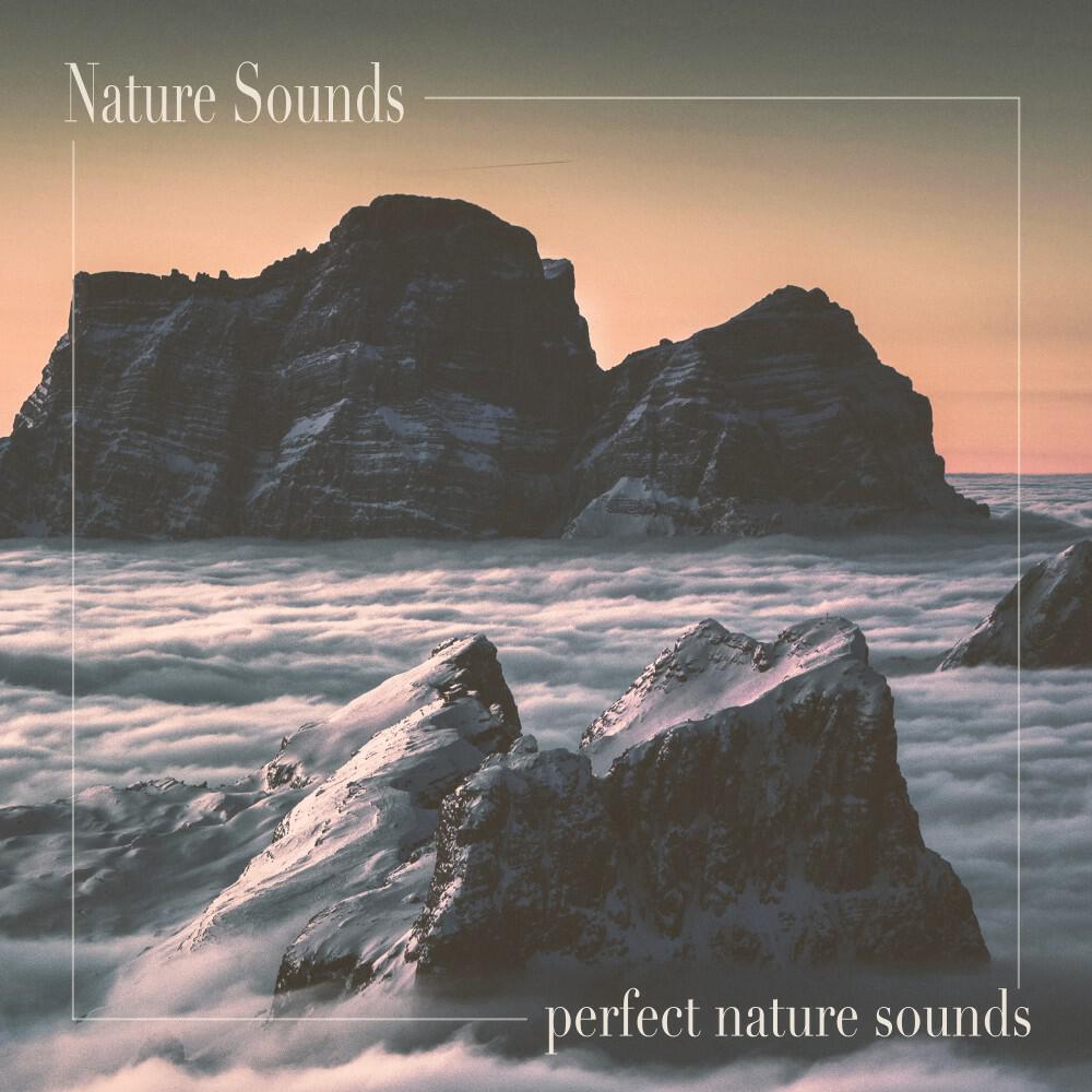 Релиз Perfect Nature Sounds