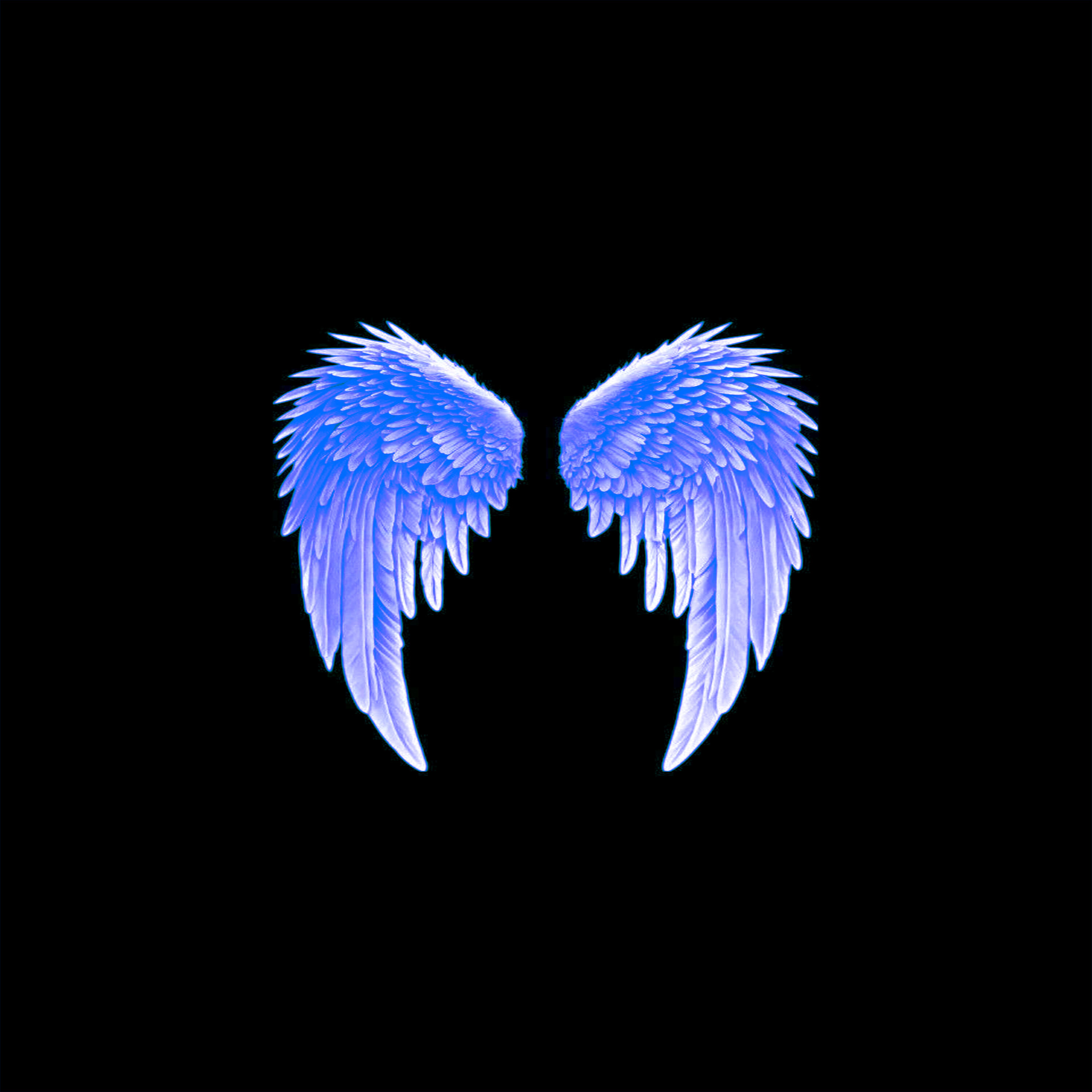 Релиз Soft Wings