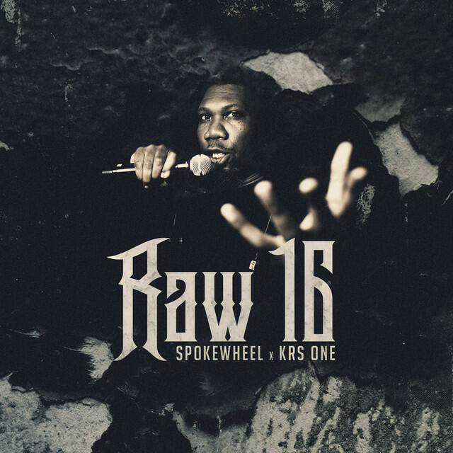 Релиз Raw 16