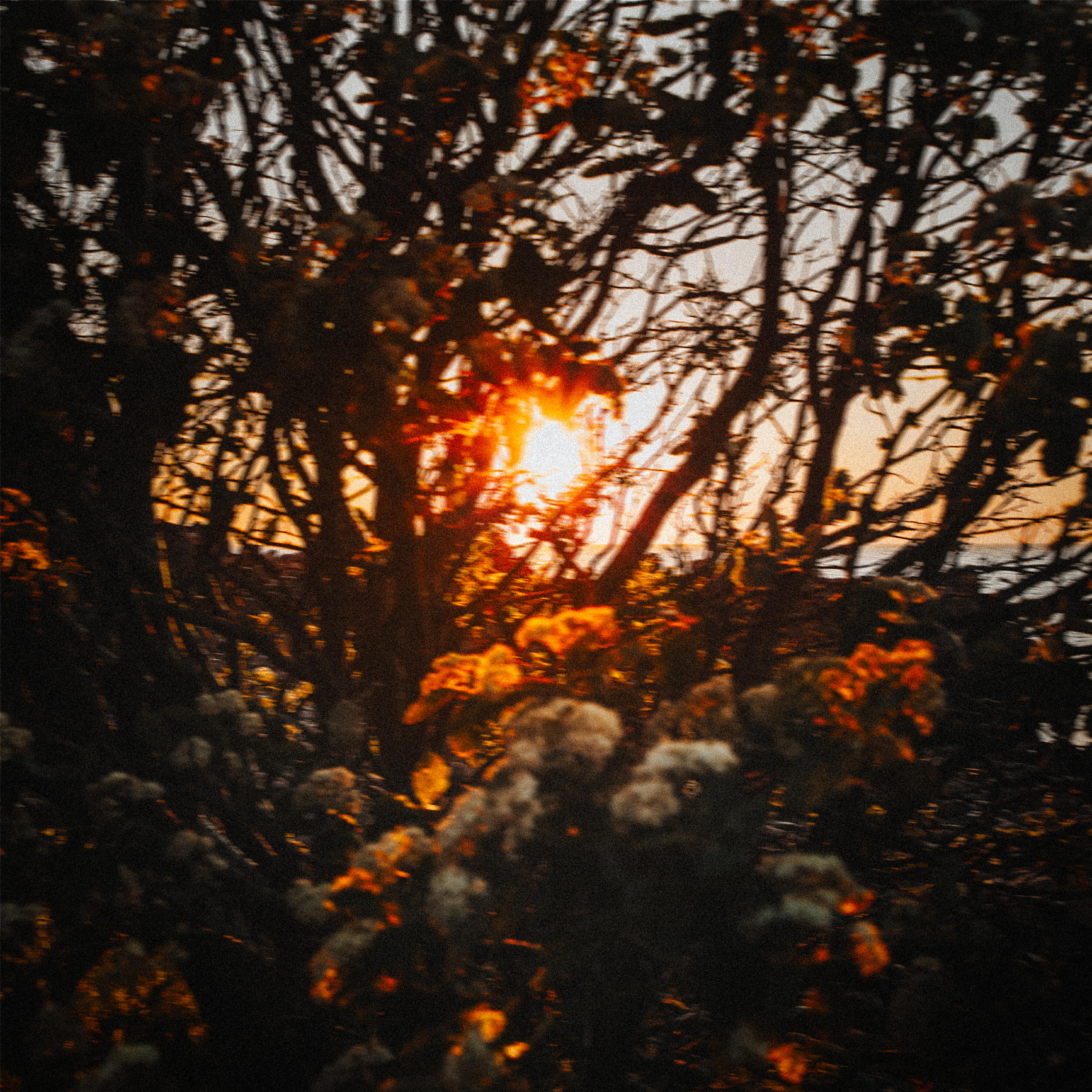 Релиз Rest Assured