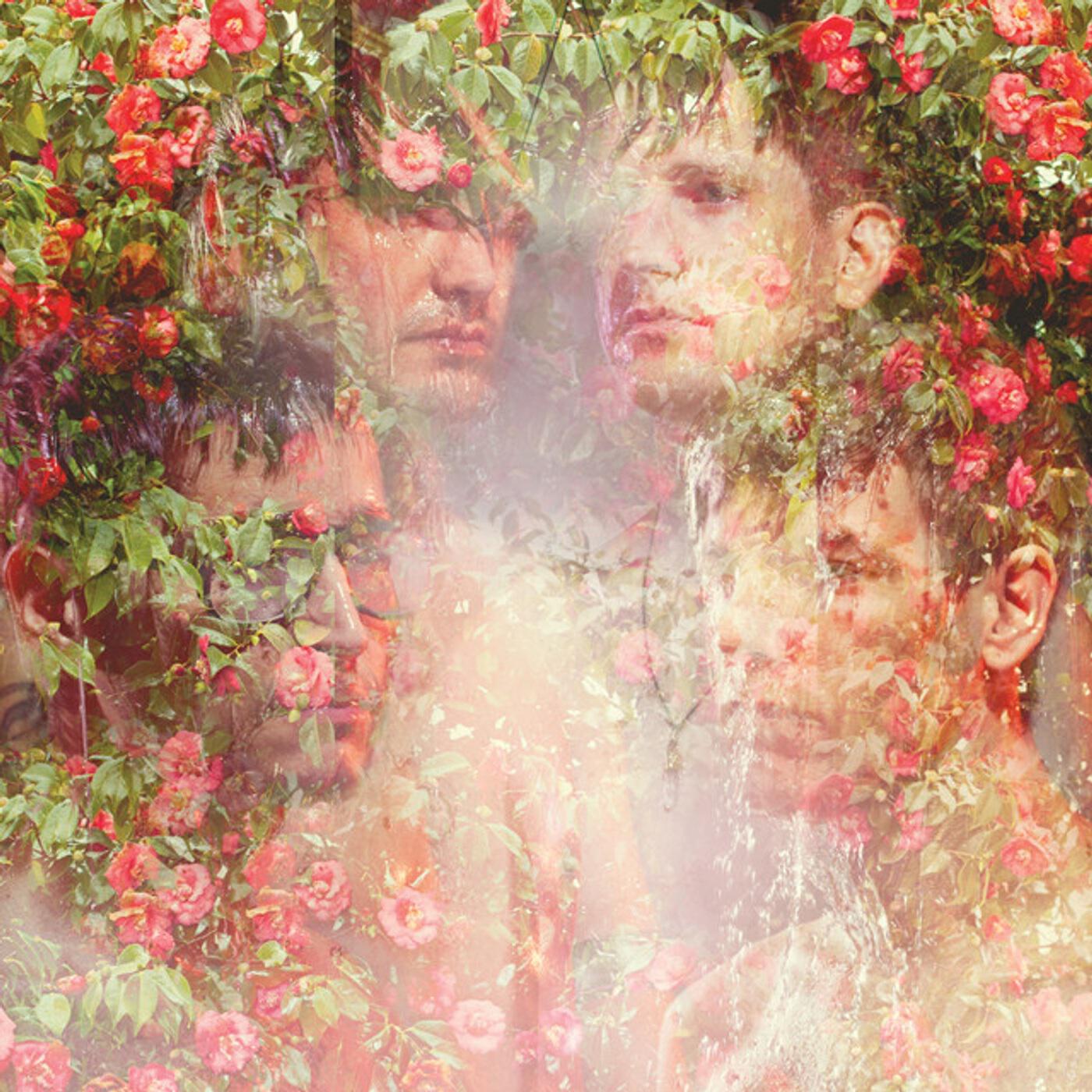 Релиз Golden Light