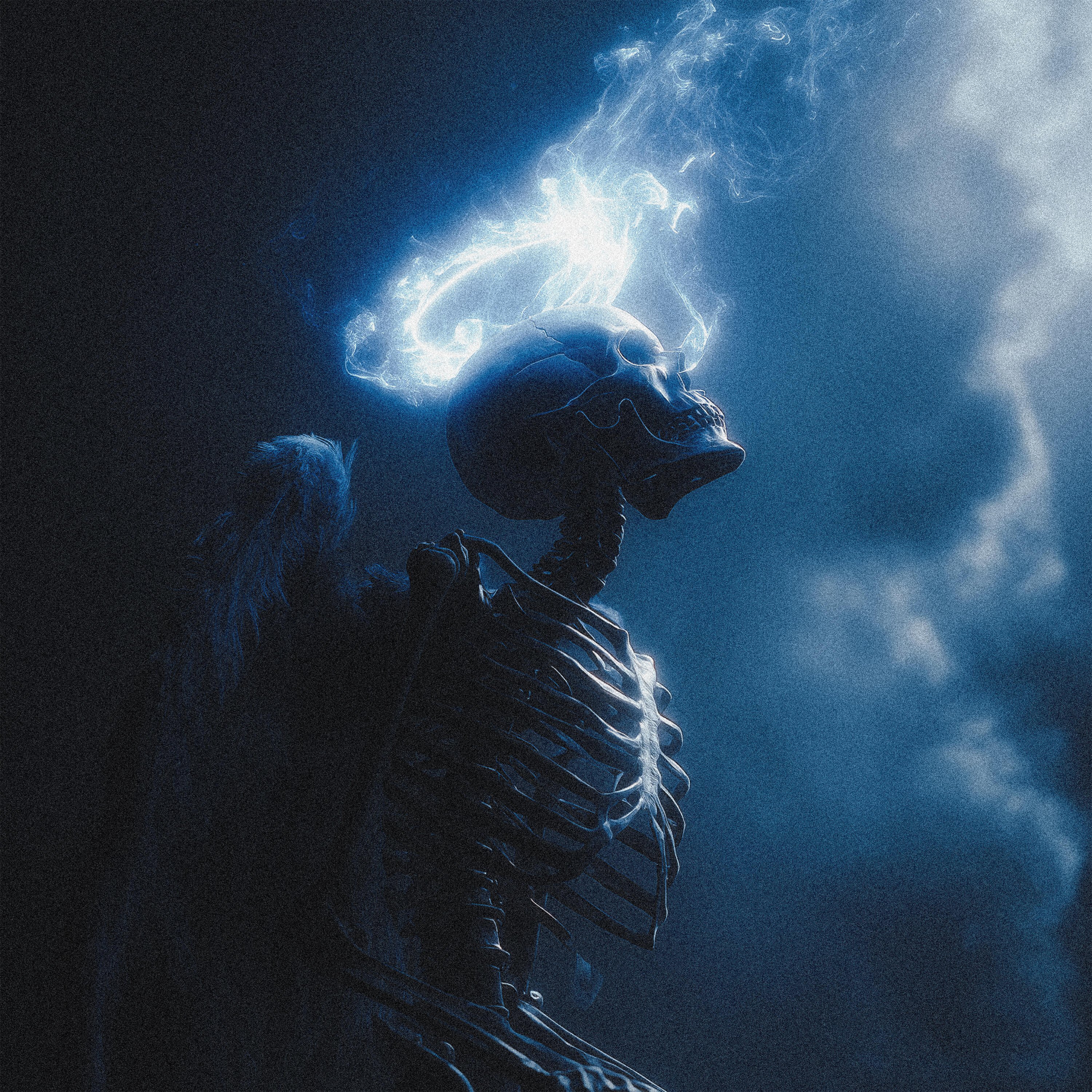 Релиз Falling Away From Heaven