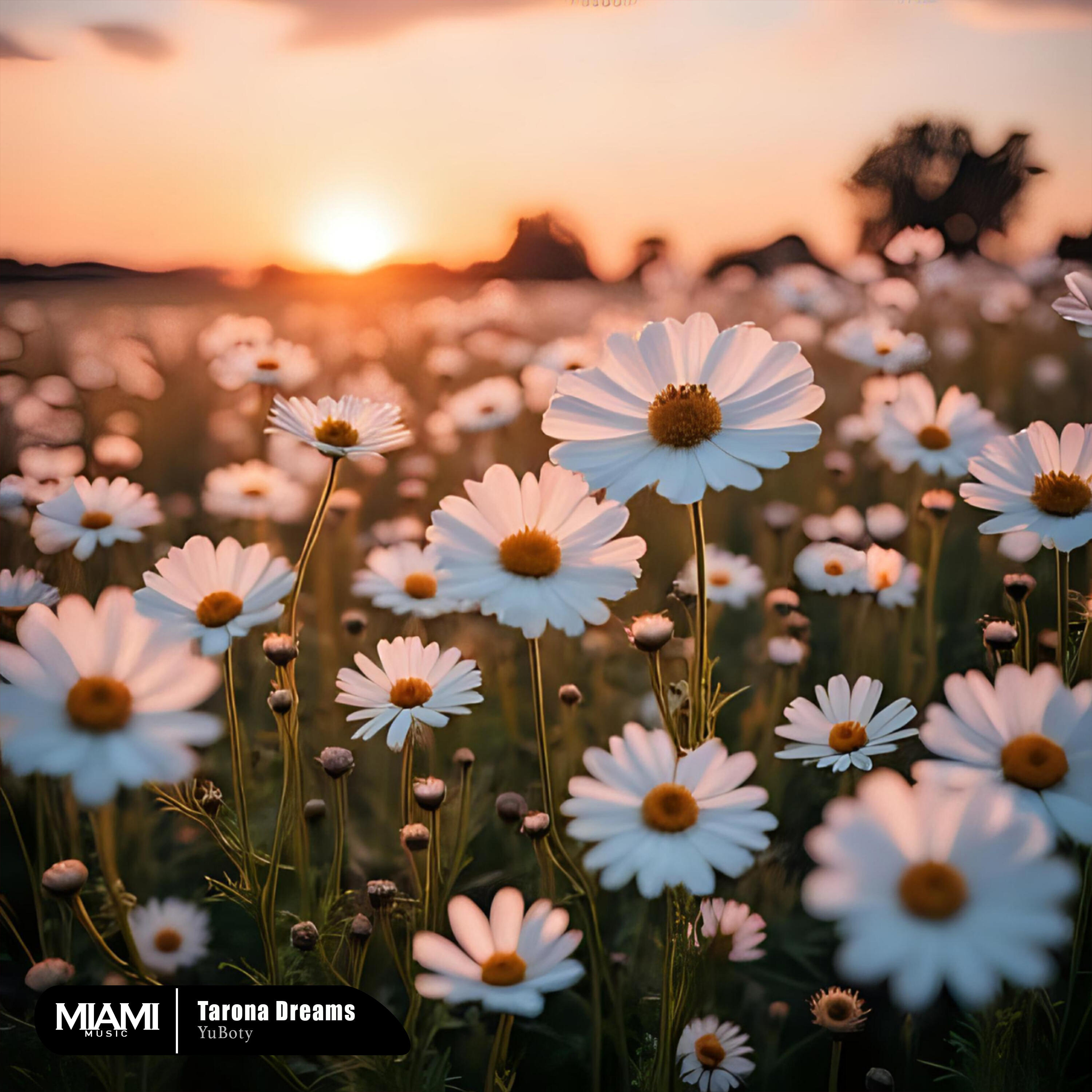 Релиз Tarona Dreams