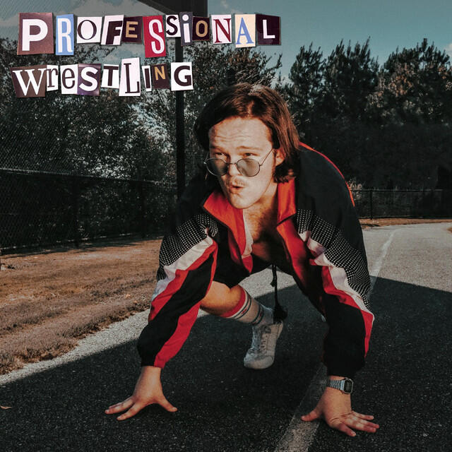Релиз Professional Wrestling