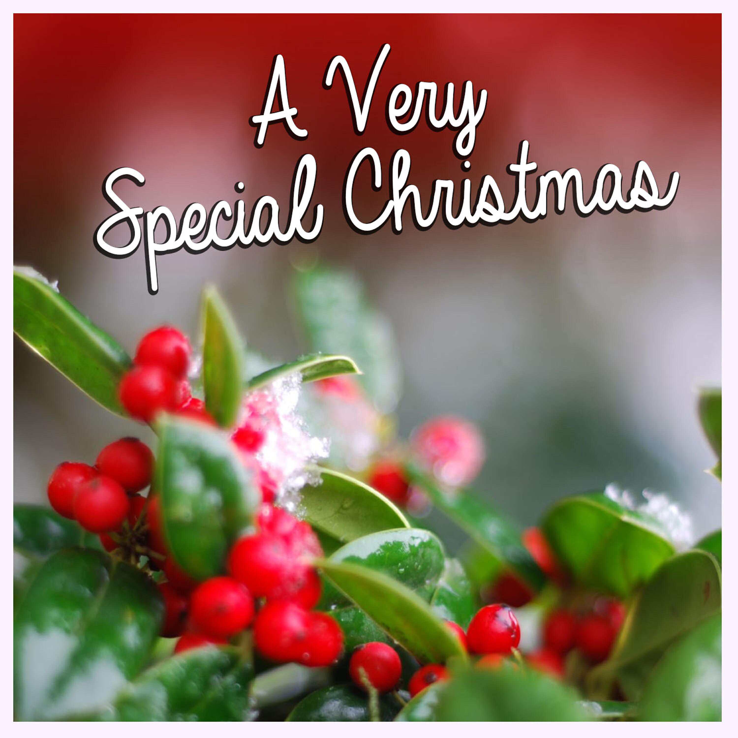 Релиз A Very Special Christmas