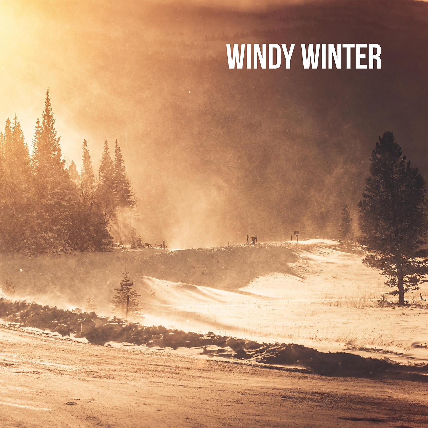 Релиз Windy Winter Night. Close Your Eyes and Meditate with the Falling Snow (Delicate New Age Music, Warming Your Thoughts and Imagination)