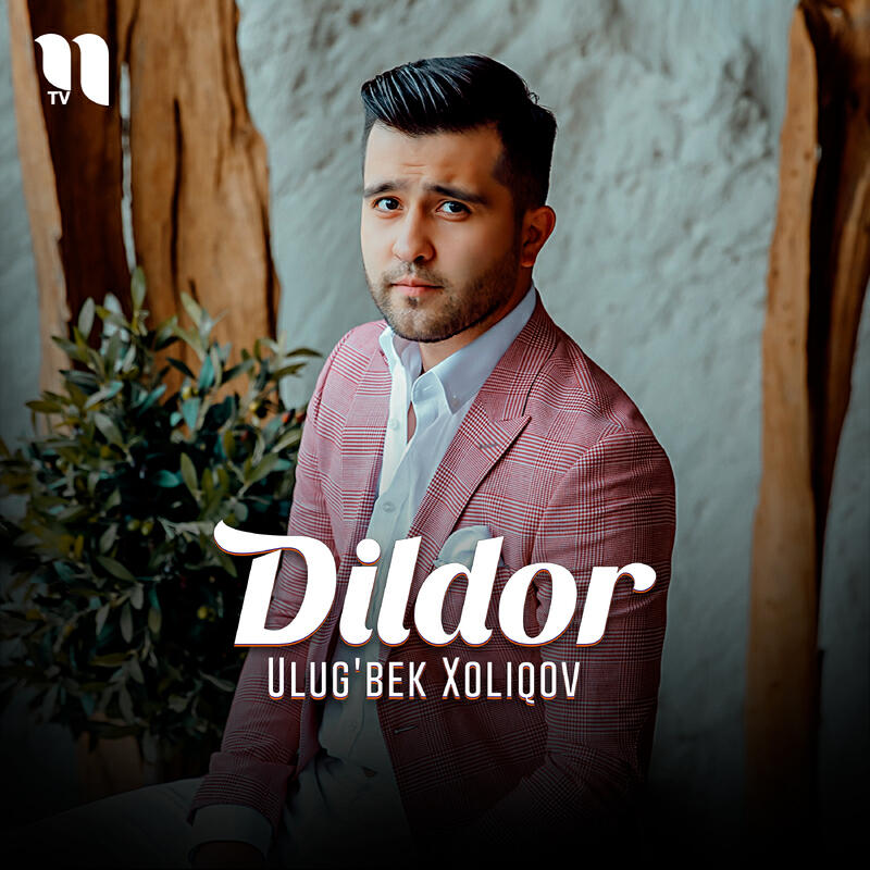 Постер альбома Dildor