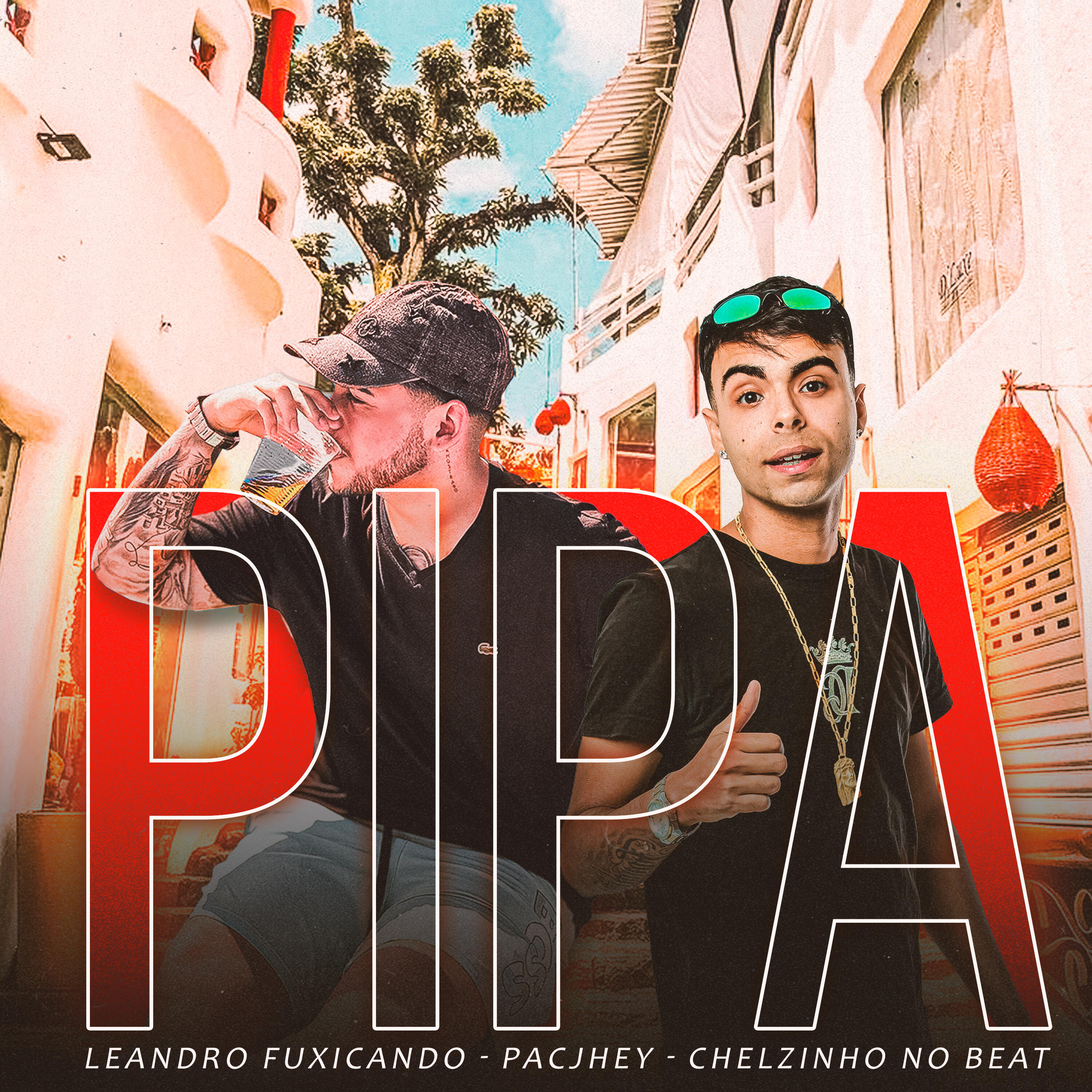 Релиз Pipa