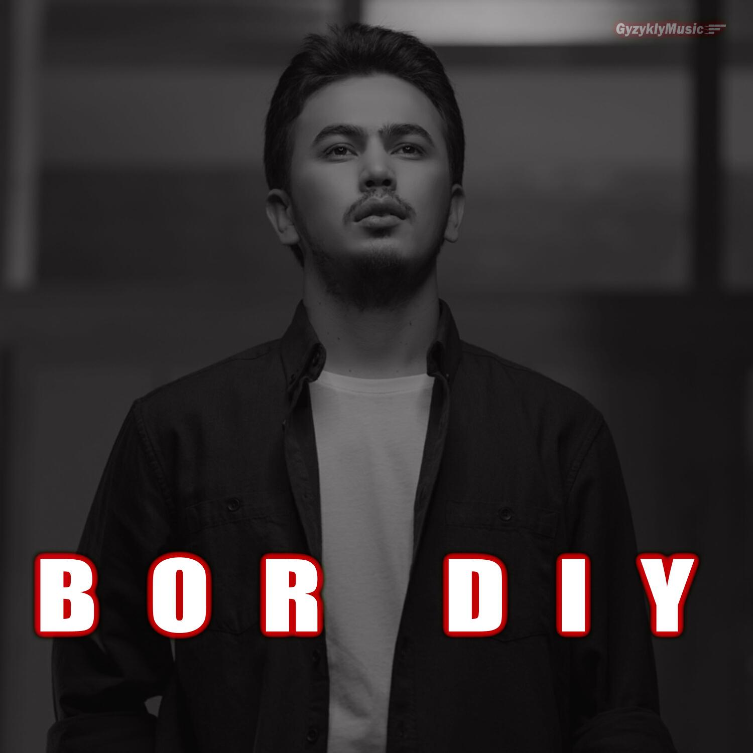 Релиз Bor Diy