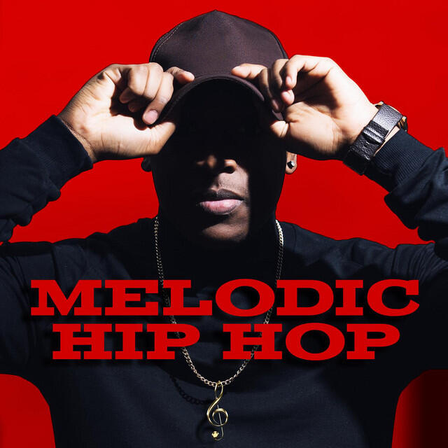 Постер альбома Melodic Hip Hop
