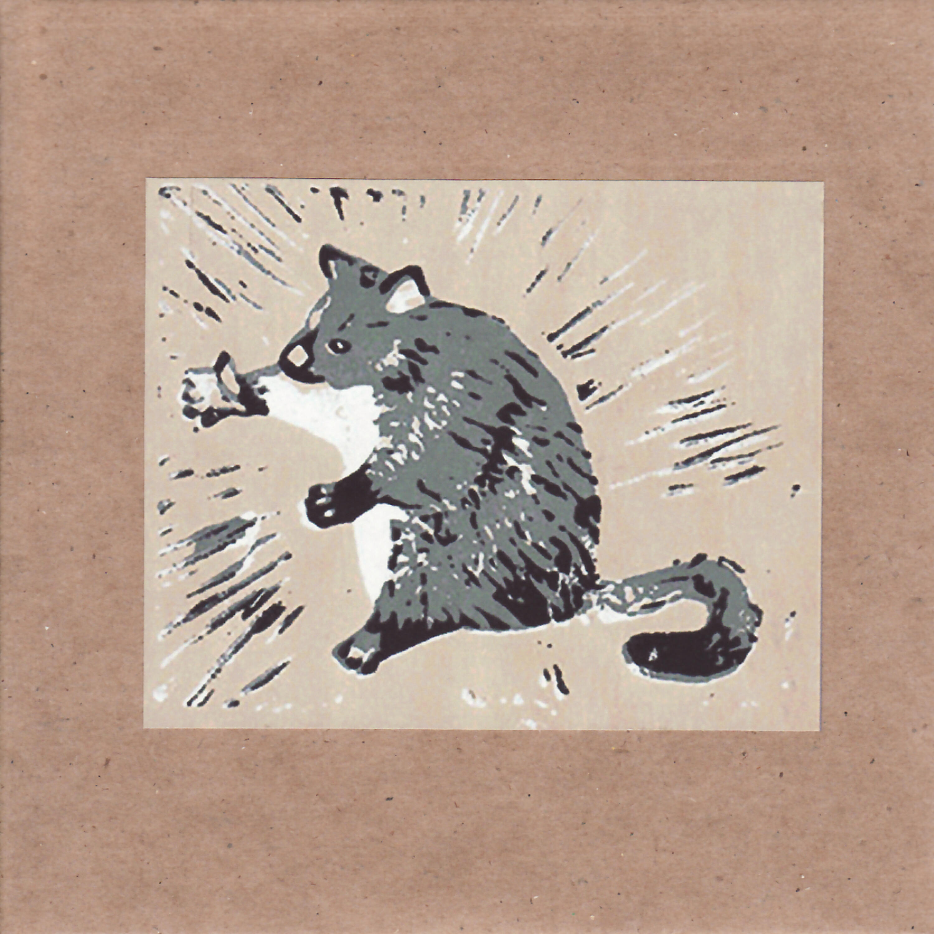 Релиз Possum Moods