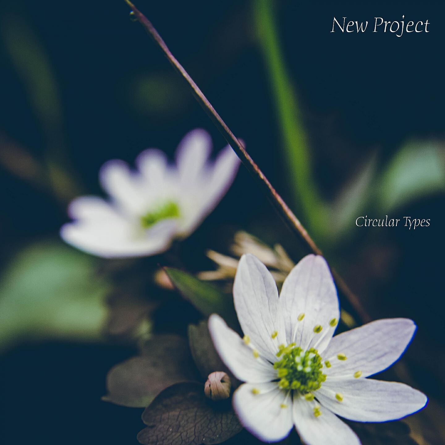 Релиз New Project