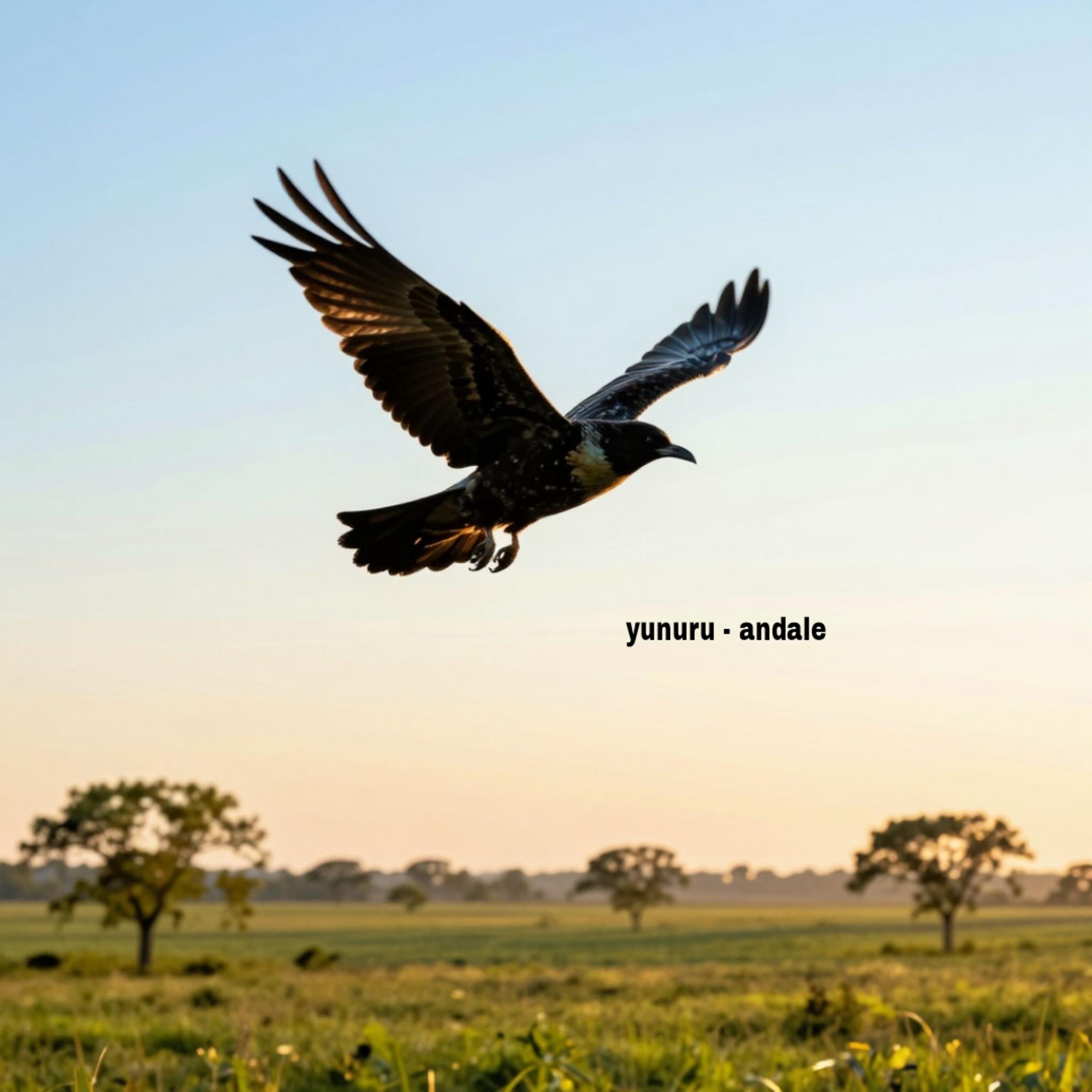 Релиз Andale