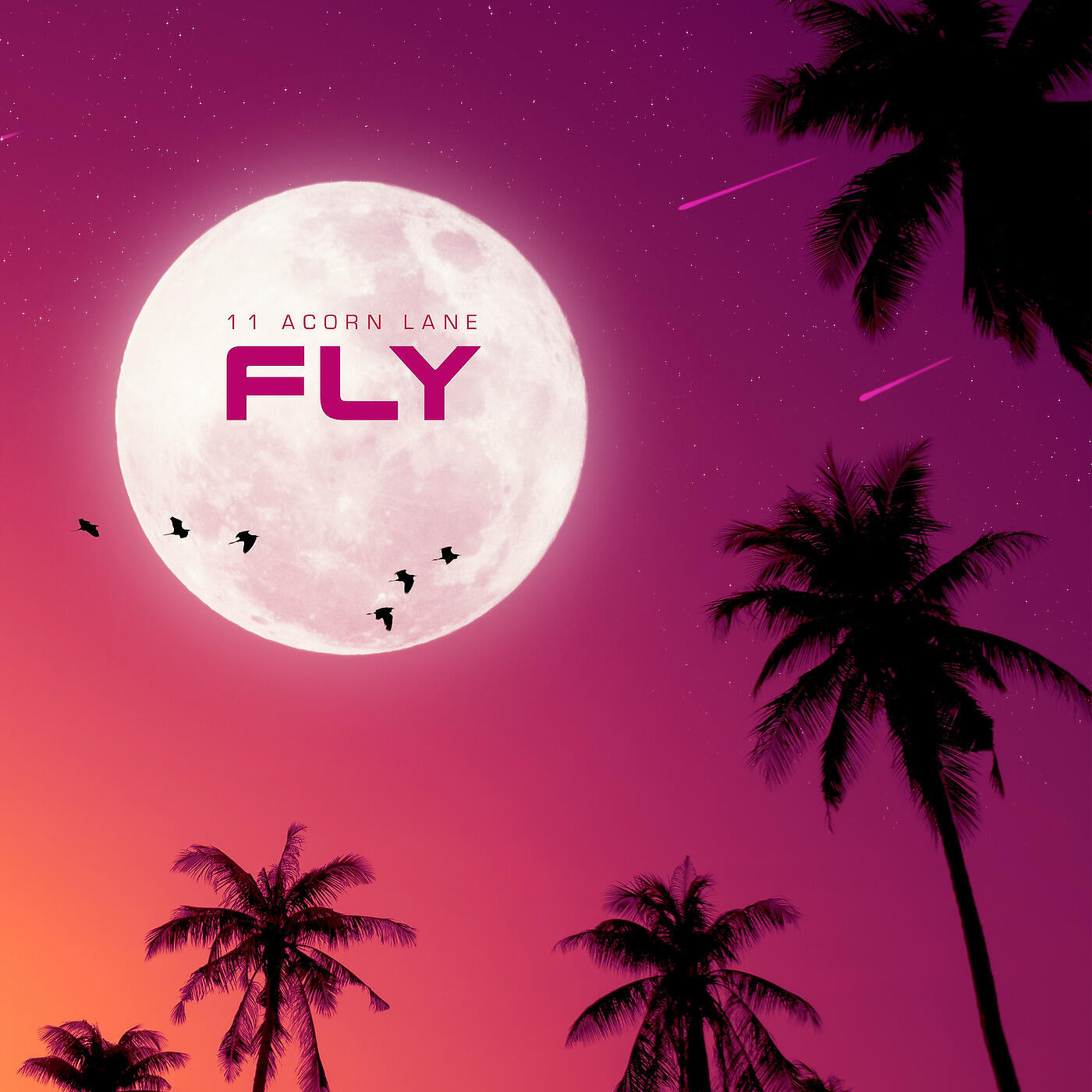 Релиз Fly