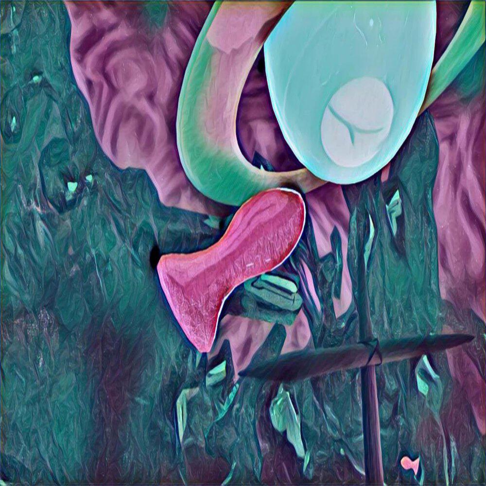 Релиз ЗАЦЕП