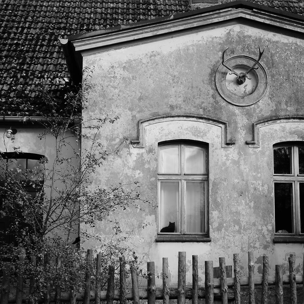 Релиз Dranske