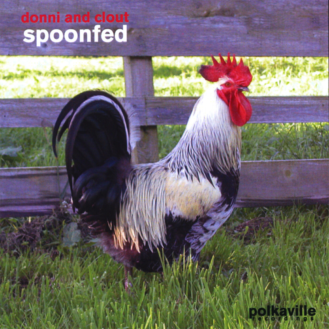 Релиз Spoonfed