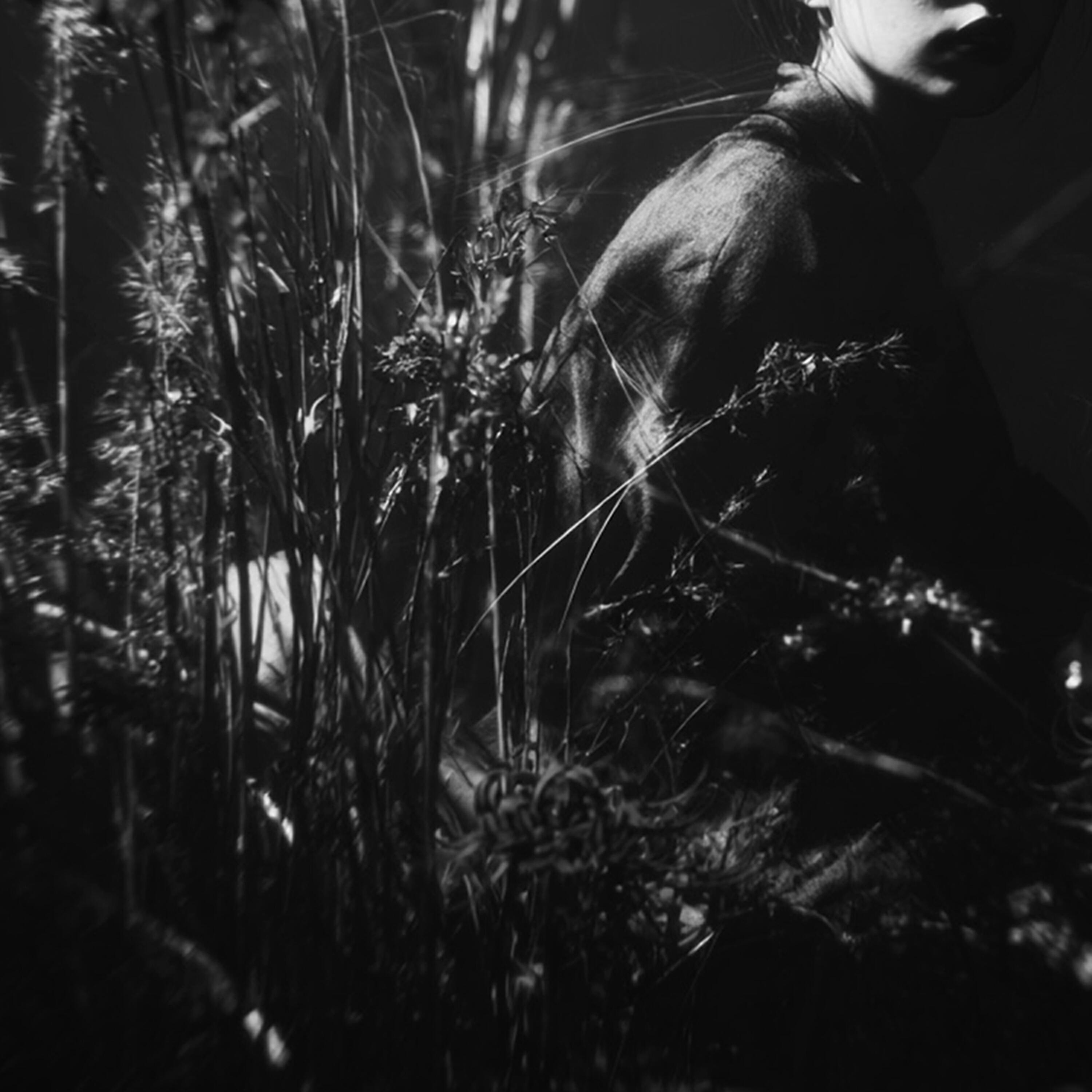 Релиз Bloom of Darkness