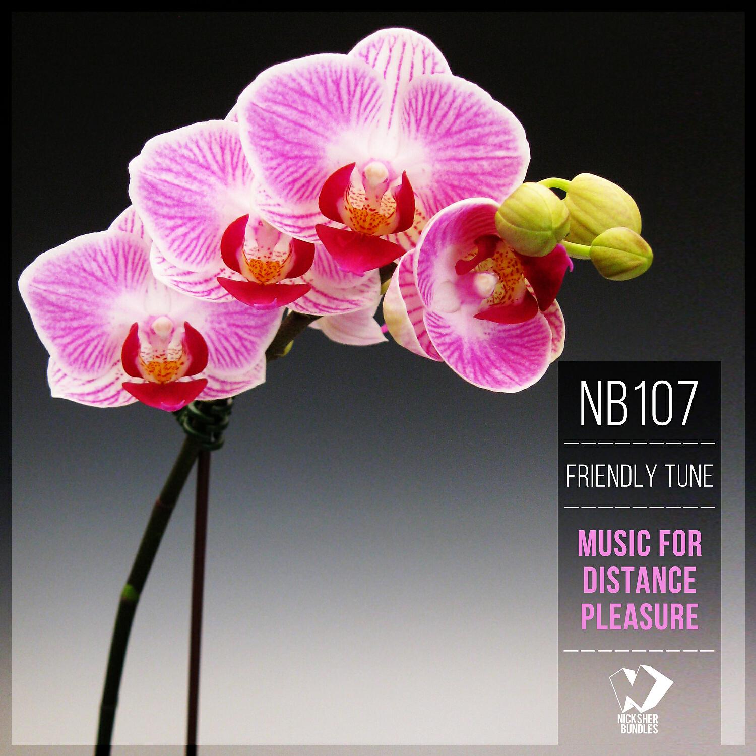 Релиз Music for Distance Pleasure