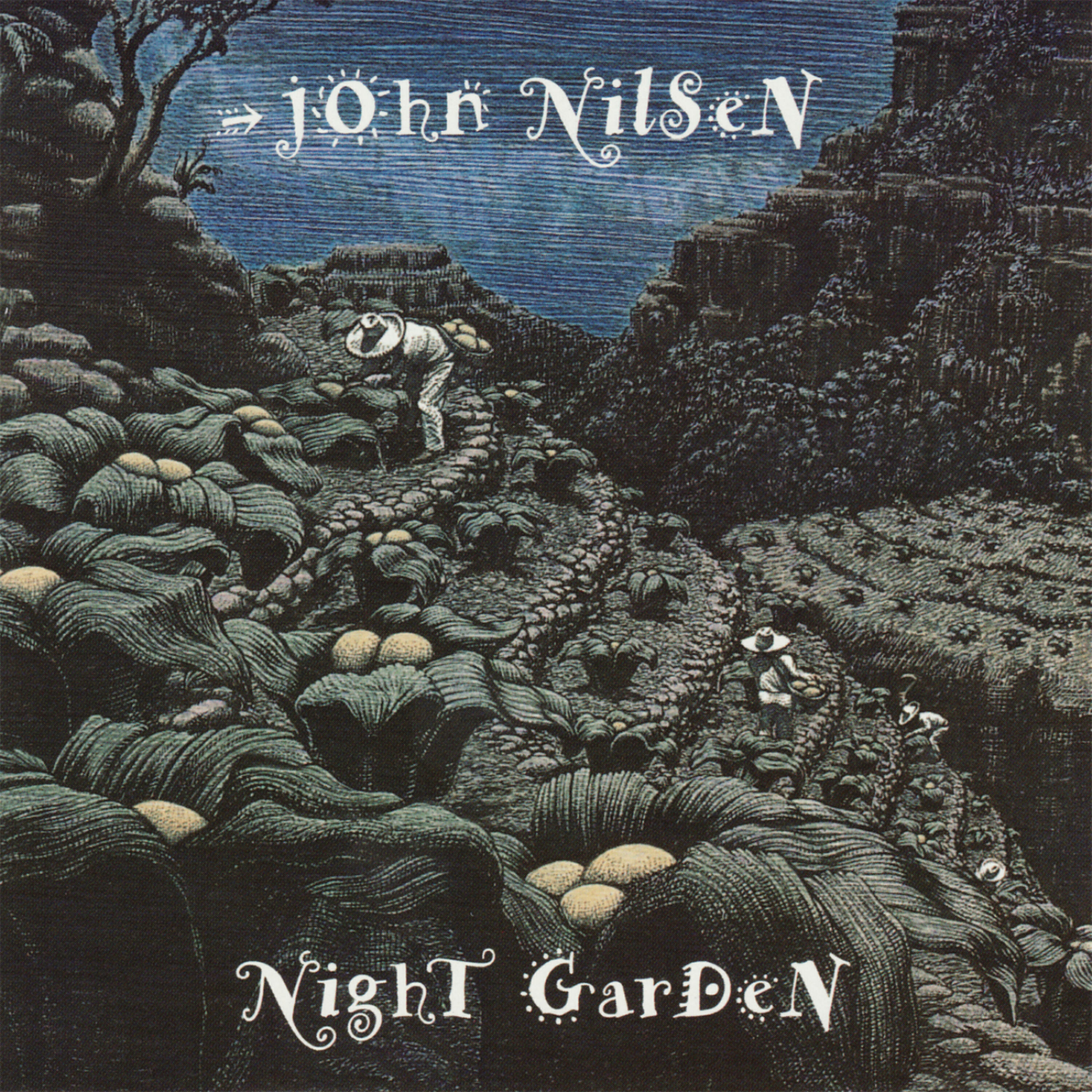 Релиз Night Garden