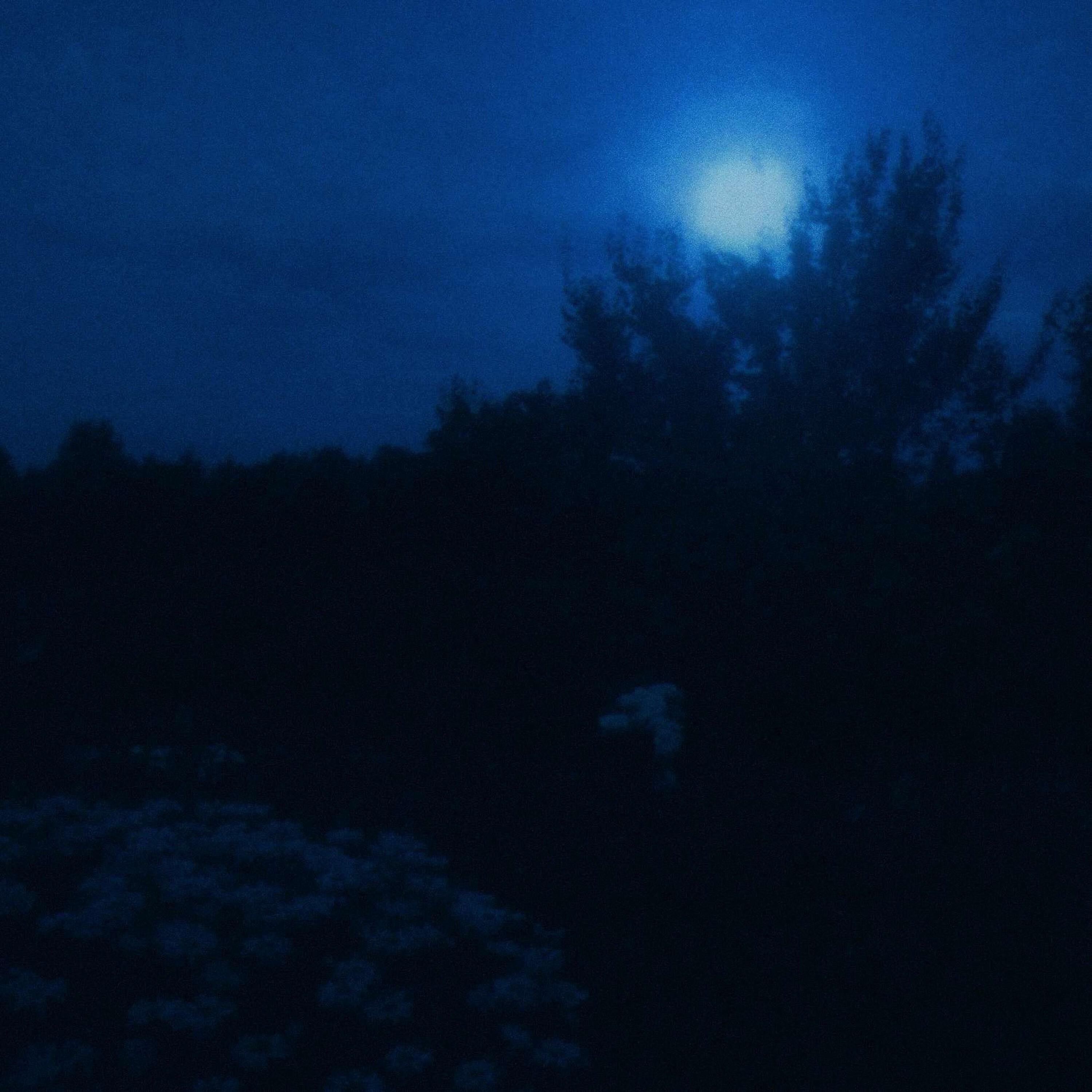 Релиз falling