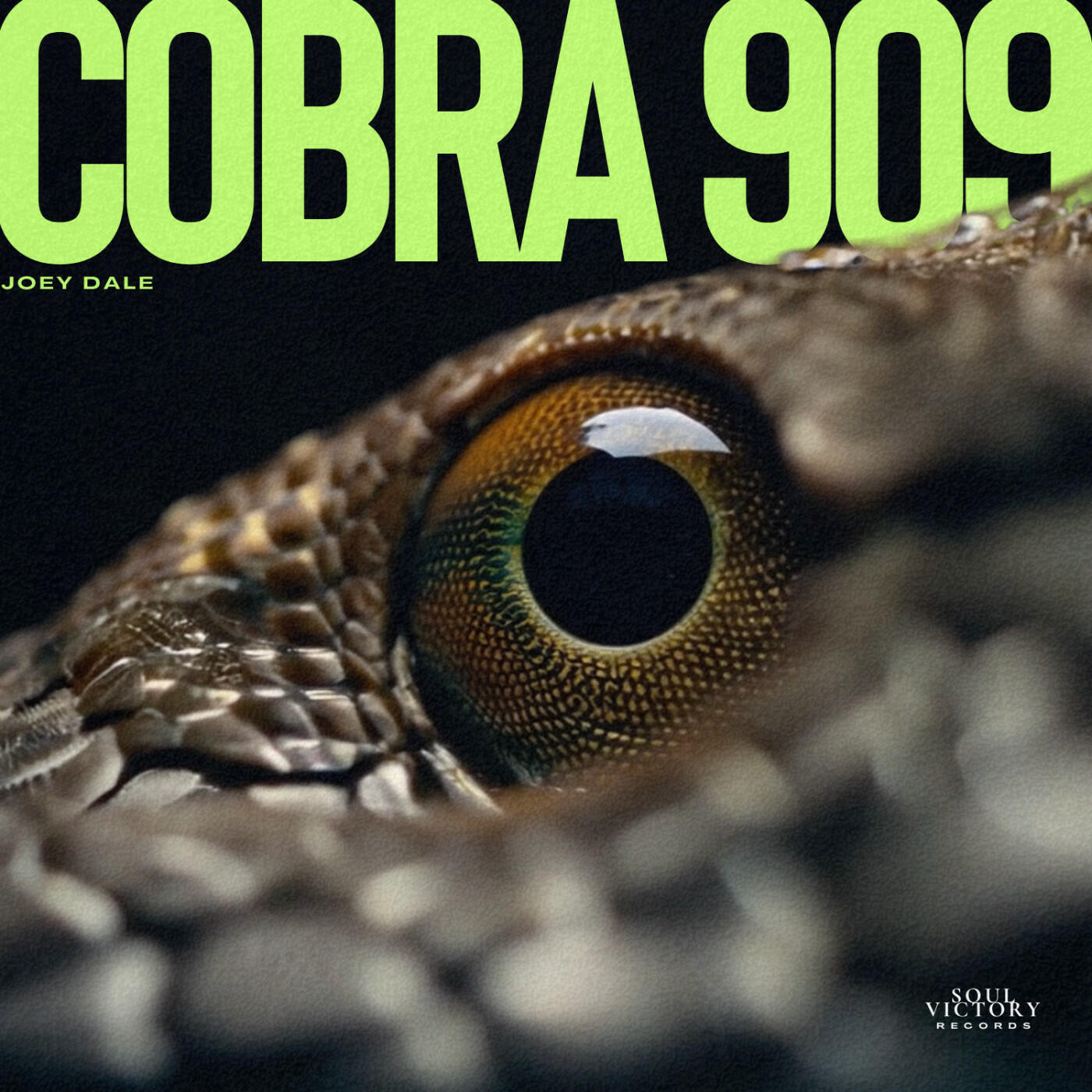 Релиз COBRA 909