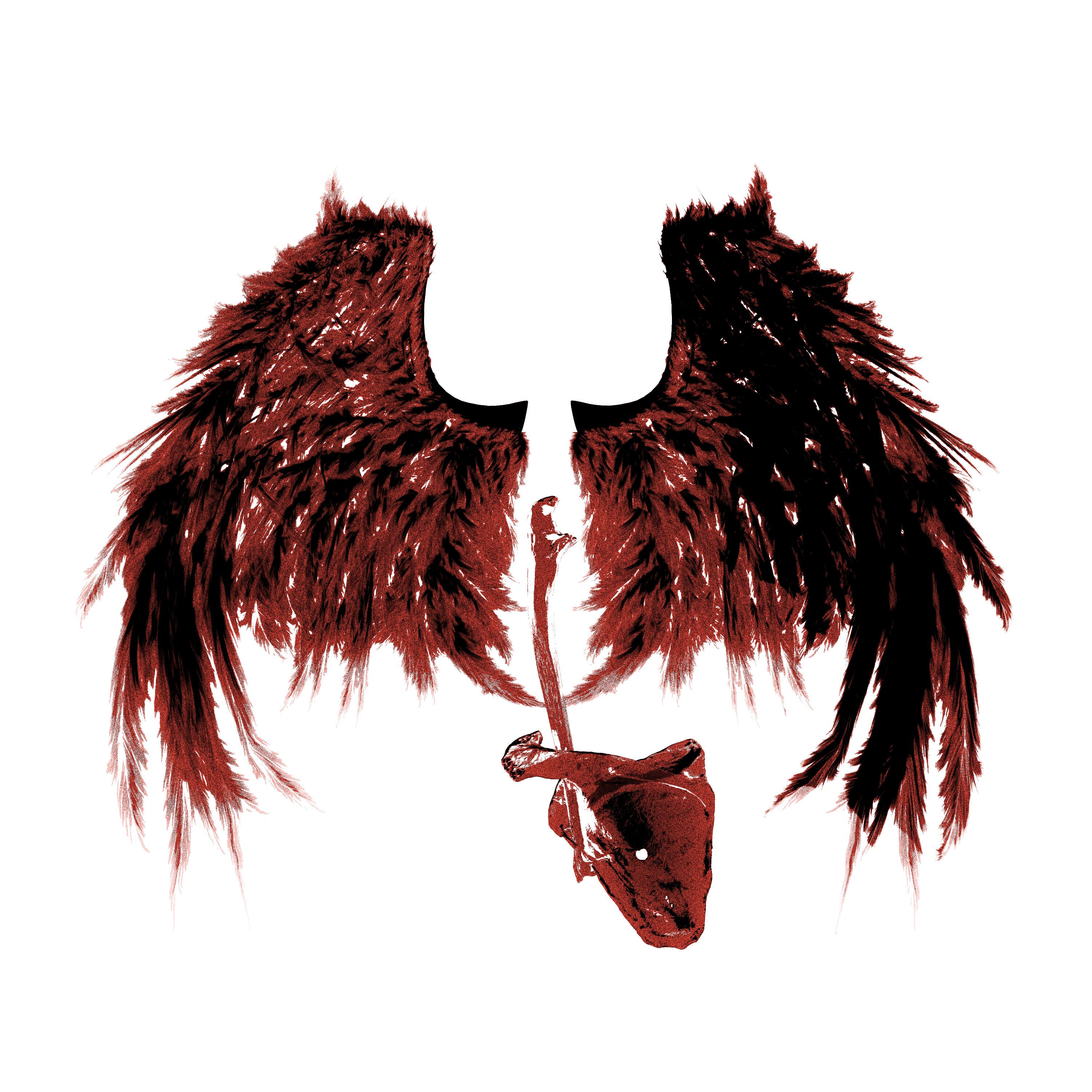 Релиз INSOMNIA